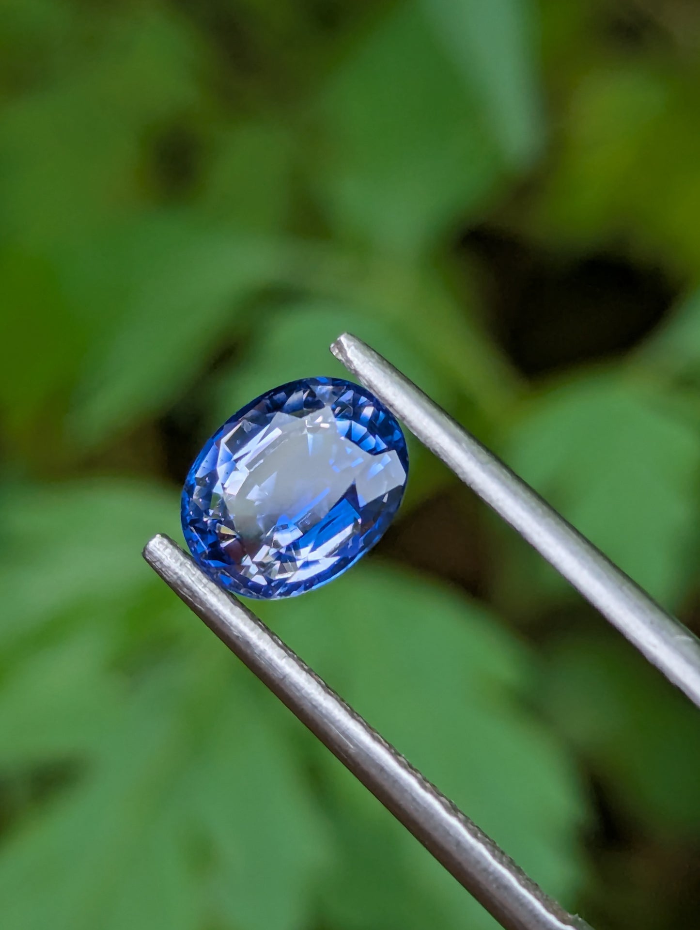 Natural Blue Sapphire – 1.85 Ct | Ceylon Origin | $360