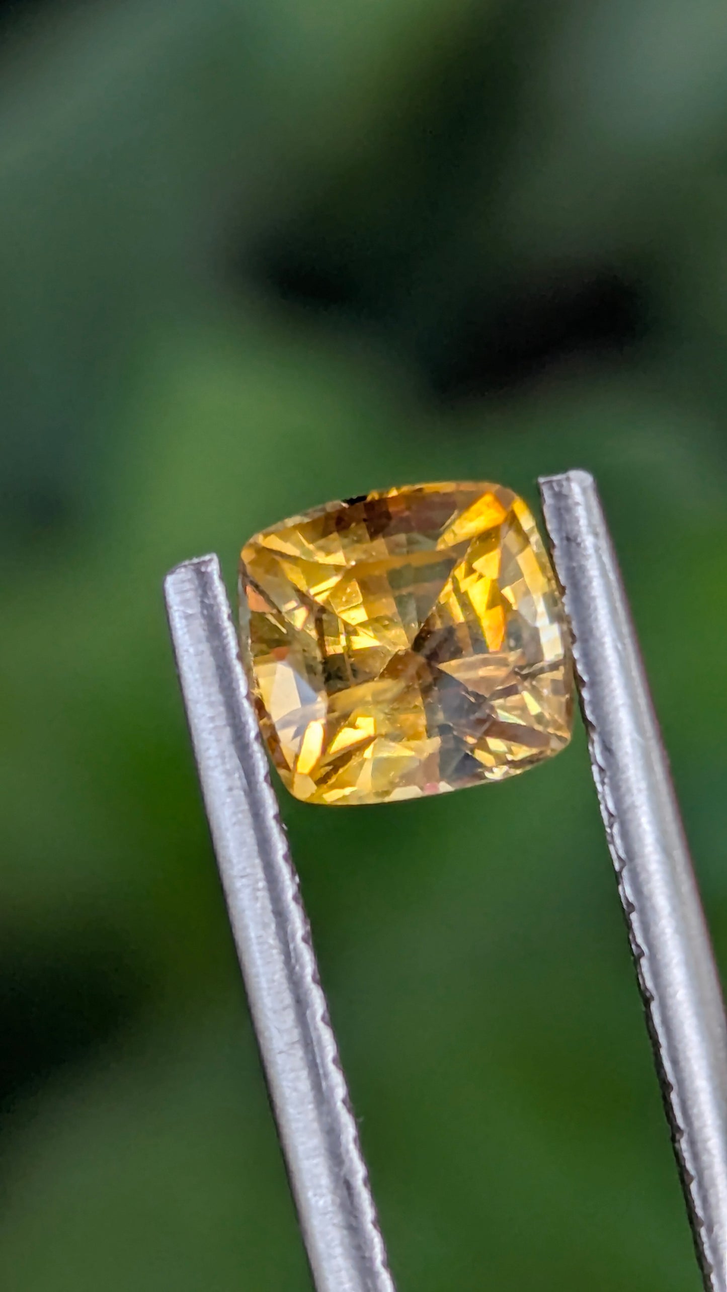 Natural Canary Yellow Sapphire 1.55 Ct | Cushion Cut | Sri Lanka