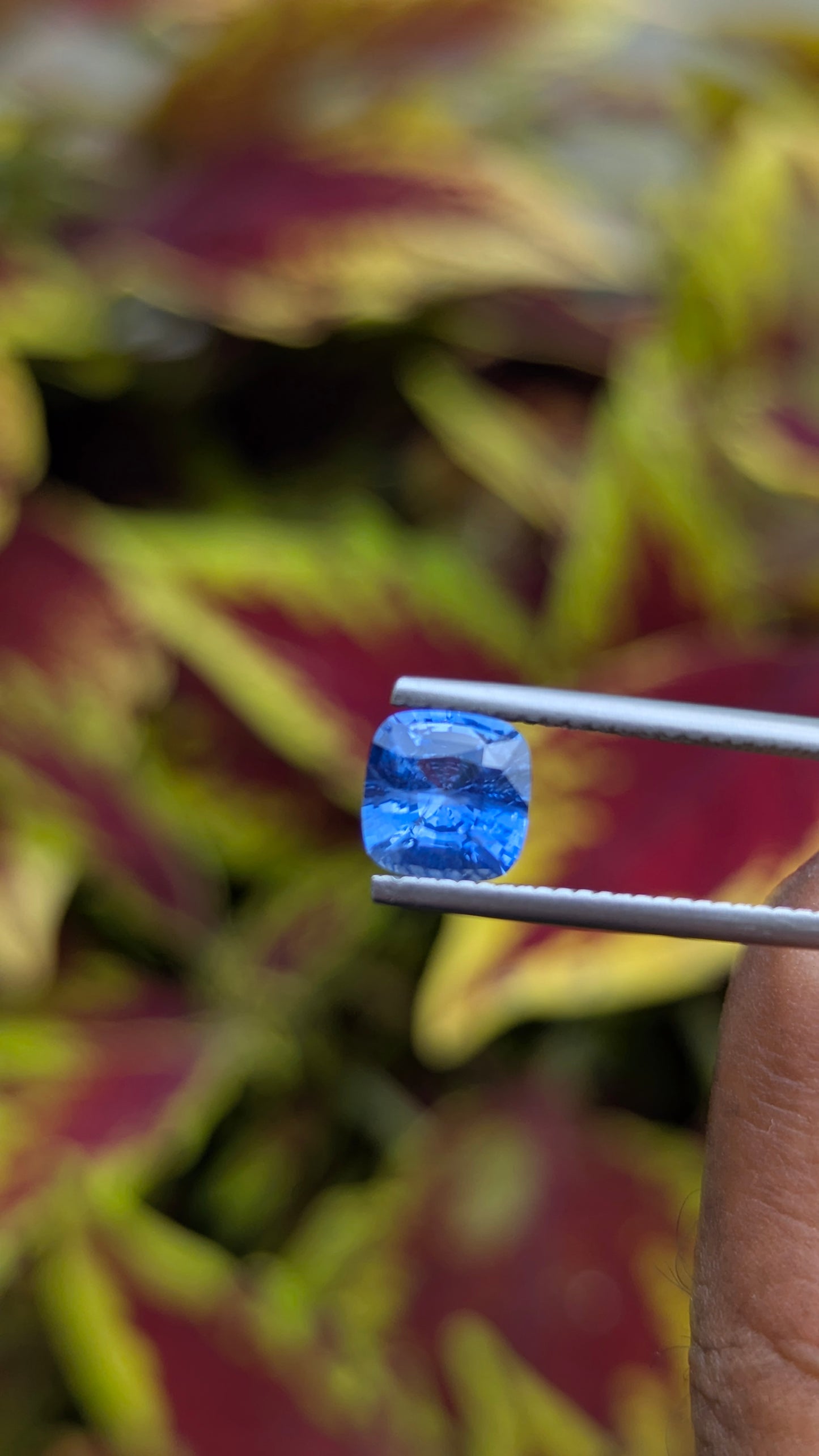 Natural Unheated Blue Sapphire 1.56 Ct | Cushion Cut | Ceylon Sapphire