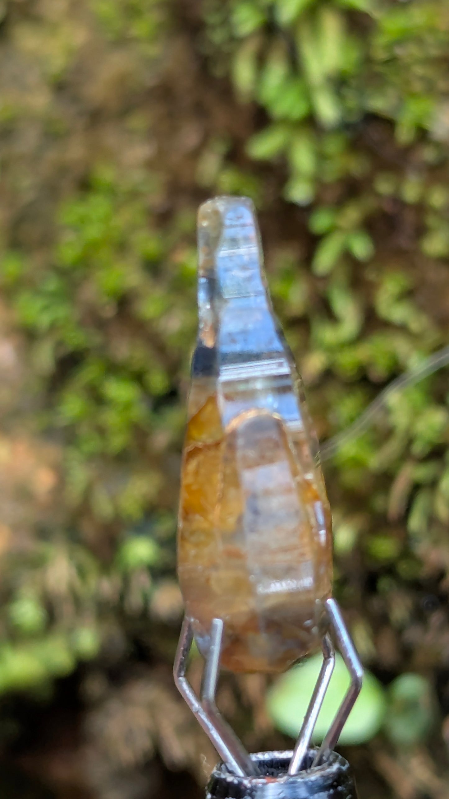 Natural Bi-Colour Sapphire Crystal – 7.00 ct Rare Skeletal Crystal | Unheated Ceylon Sapphire