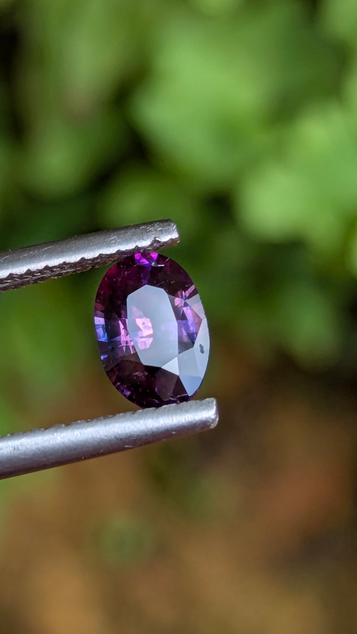 Natural Bicolor Sapphire 0.70 ct — Purple & Pink Oval | GR_644