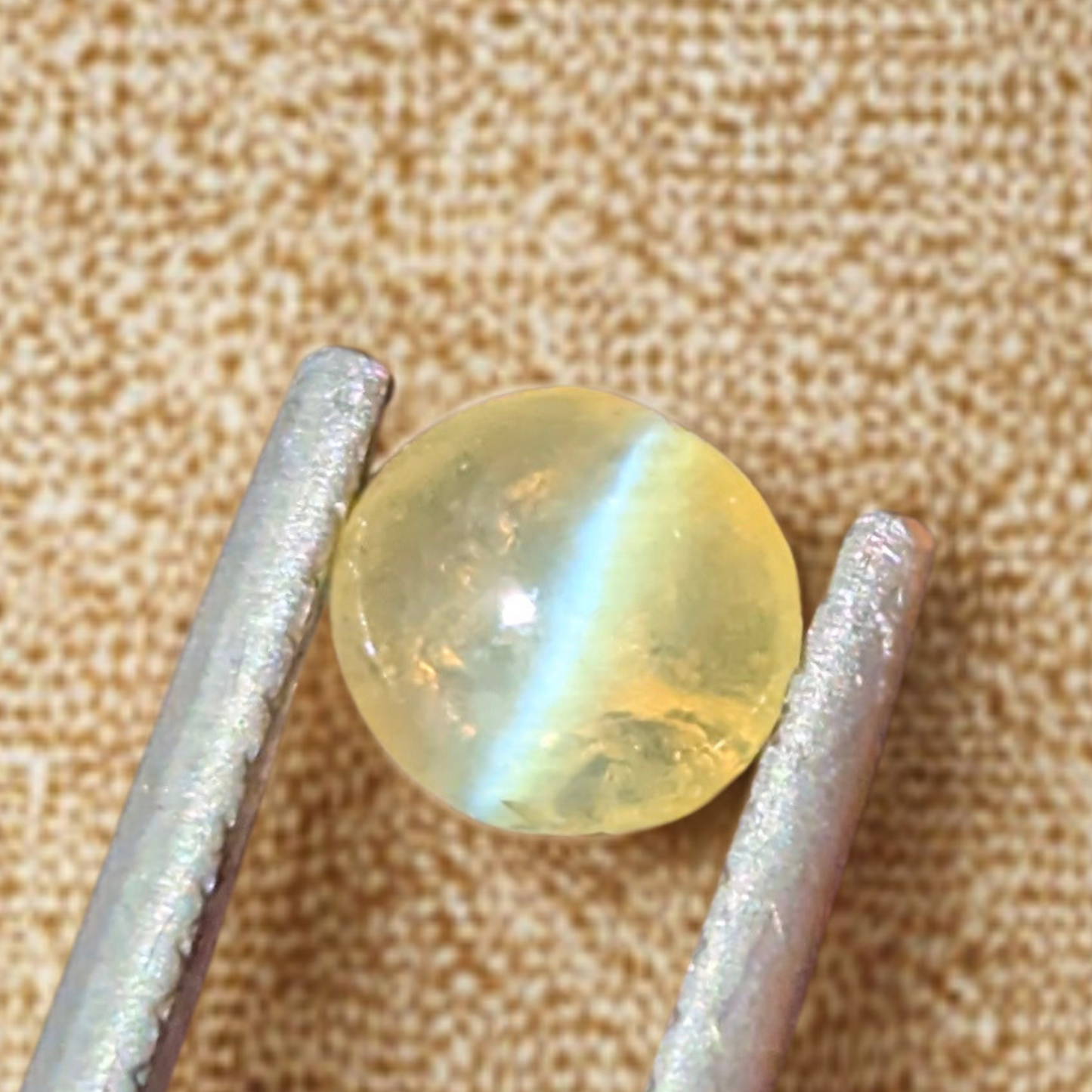 Natural Chrysoberyl Cat's Eye 0.94 Ct | Sharp Chatoyancy | Sri Lanka