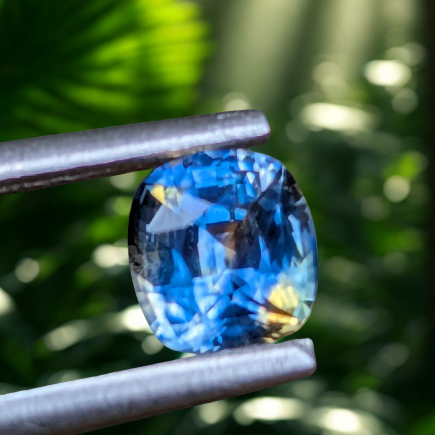 Natural Bi-Color Sapphire – 0.83 Carat Cushion Cut | Ceylon Sapphire