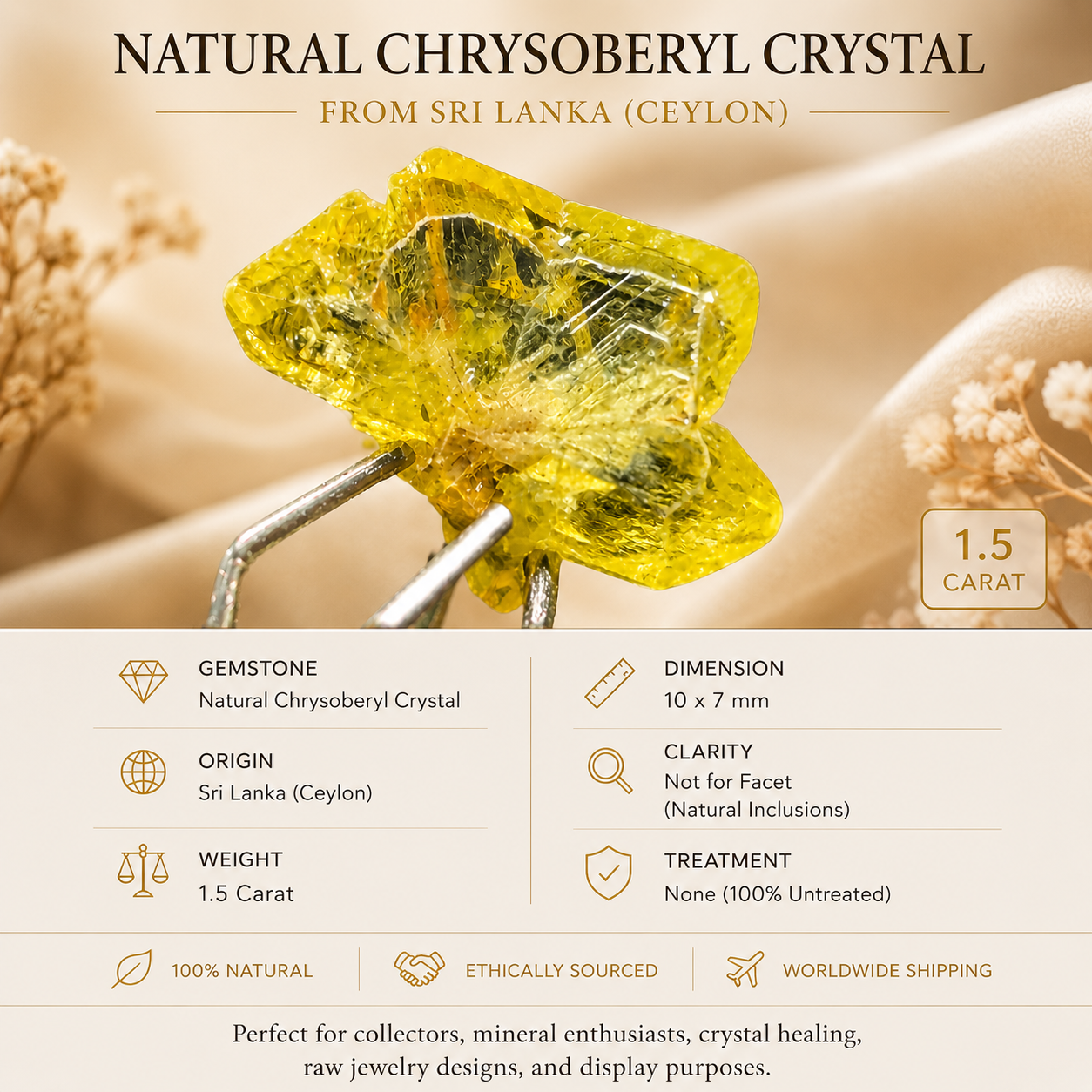 Natural Chrysoberyl Crystal 1.5ct | Rough Gemstone | Ceylon Sri Lanka | Collector Specimen | Untreated | 10x7mm