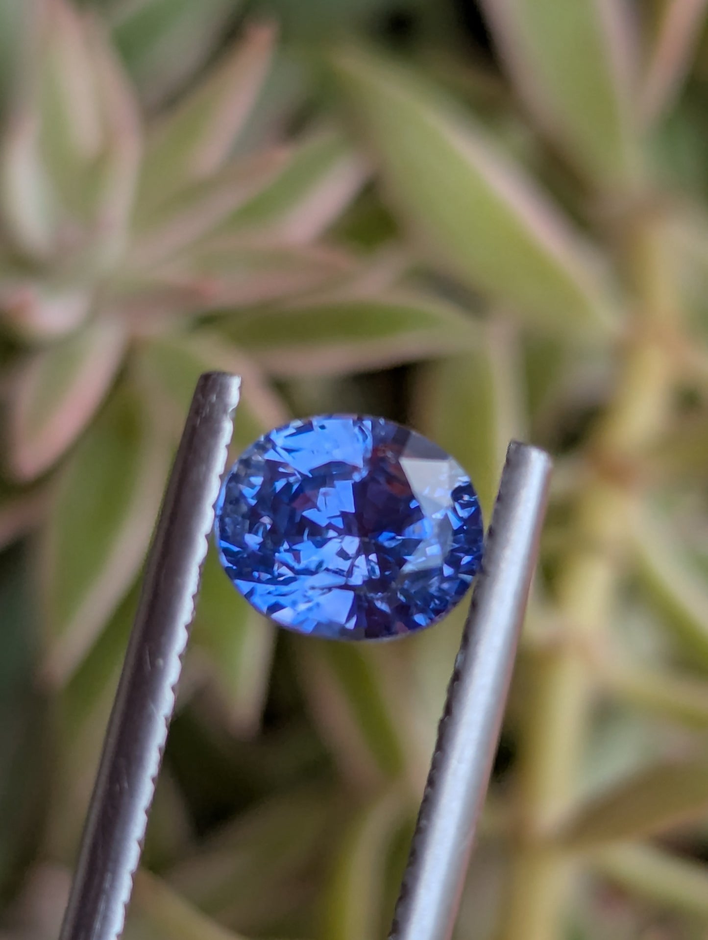 Natural Blue Sapphire 1.55ct – Pastel Blue Eye Clean Ceylon Sapphire