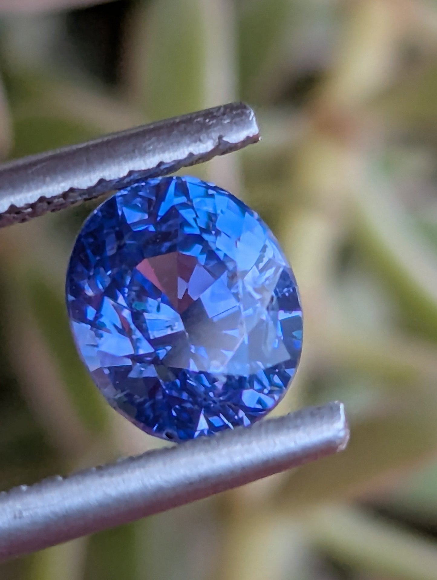 Natural Blue Sapphire 1.55ct – Pastel Blue Eye Clean Ceylon Sapphire
