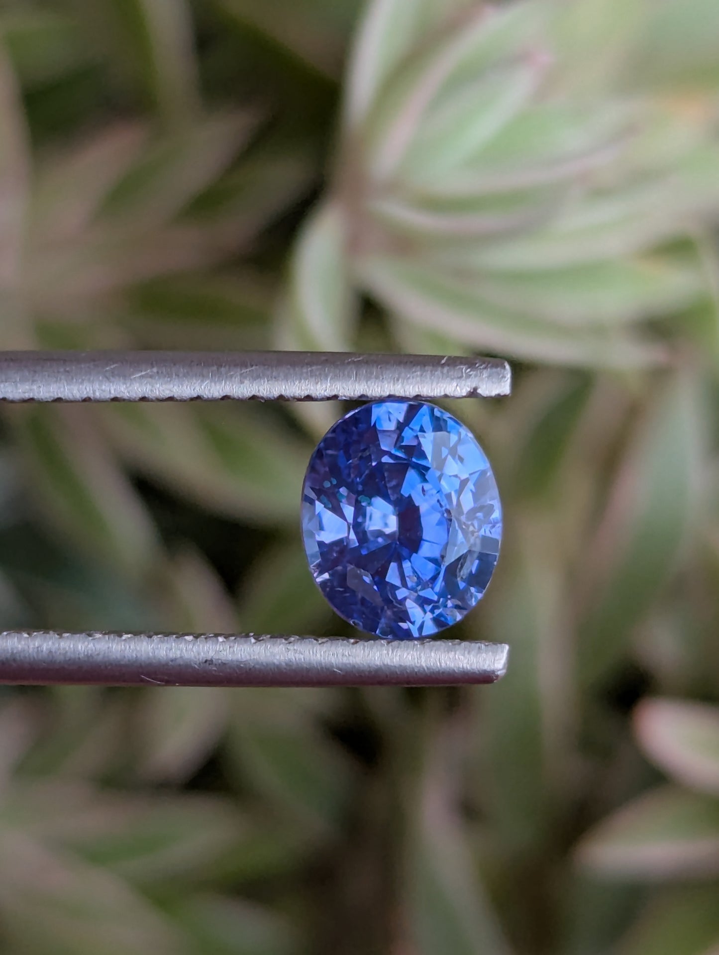 Natural Blue Sapphire 1.55ct – Pastel Blue Eye Clean Ceylon Sapphire