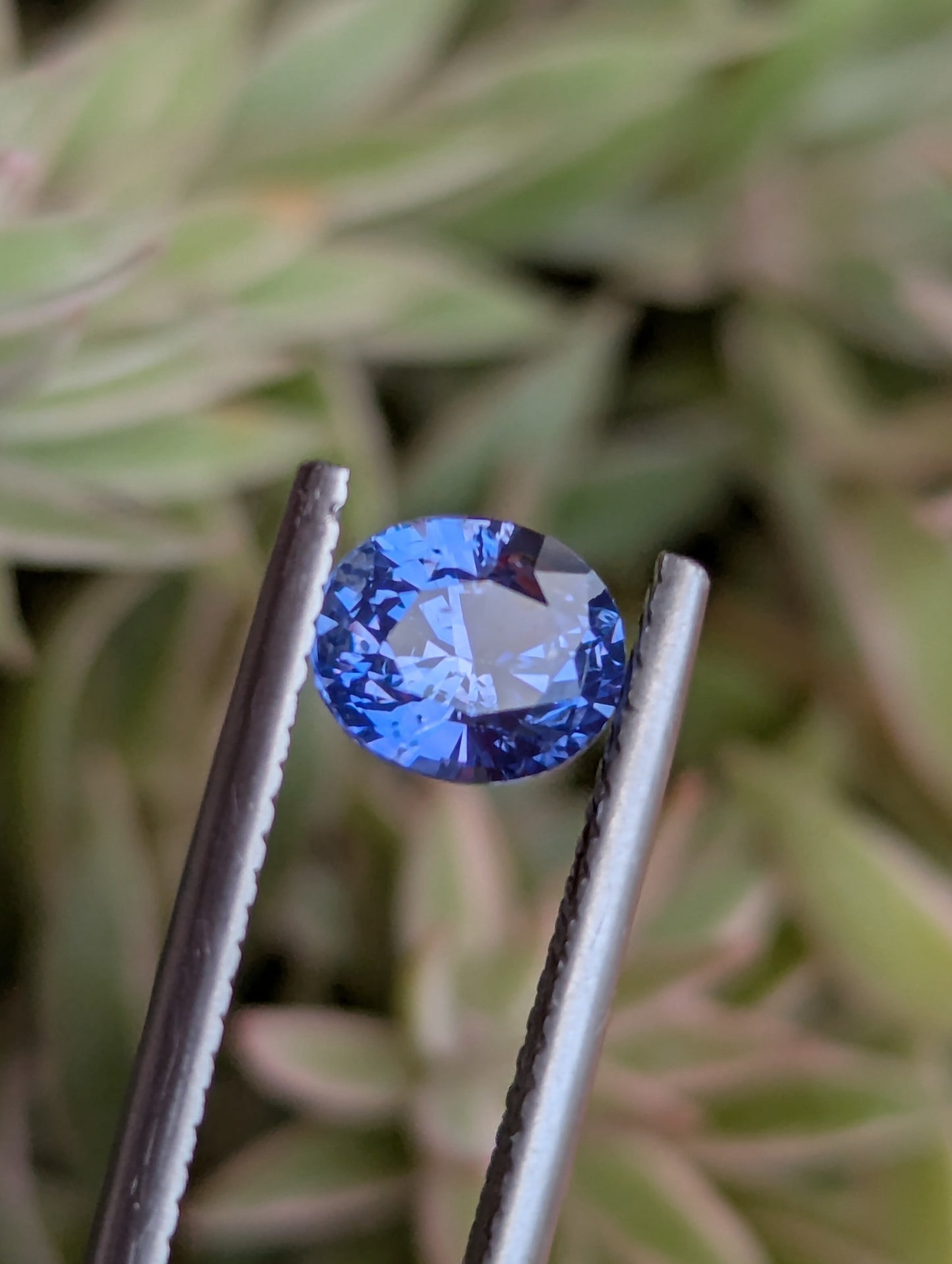Natural Blue Sapphire 1.55ct – Pastel Blue Eye Clean Ceylon Sapphire