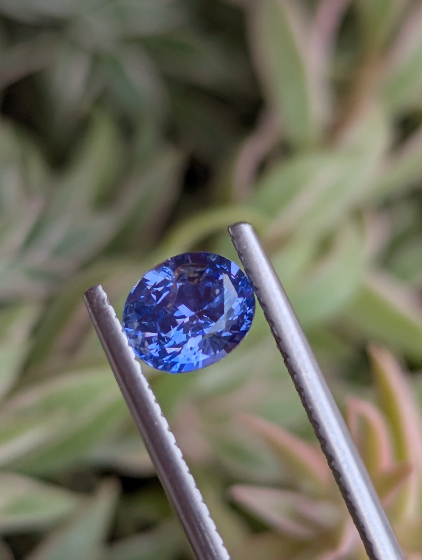 Natural Blue Sapphire 1.55ct – Pastel Blue Eye Clean Ceylon Sapphire
