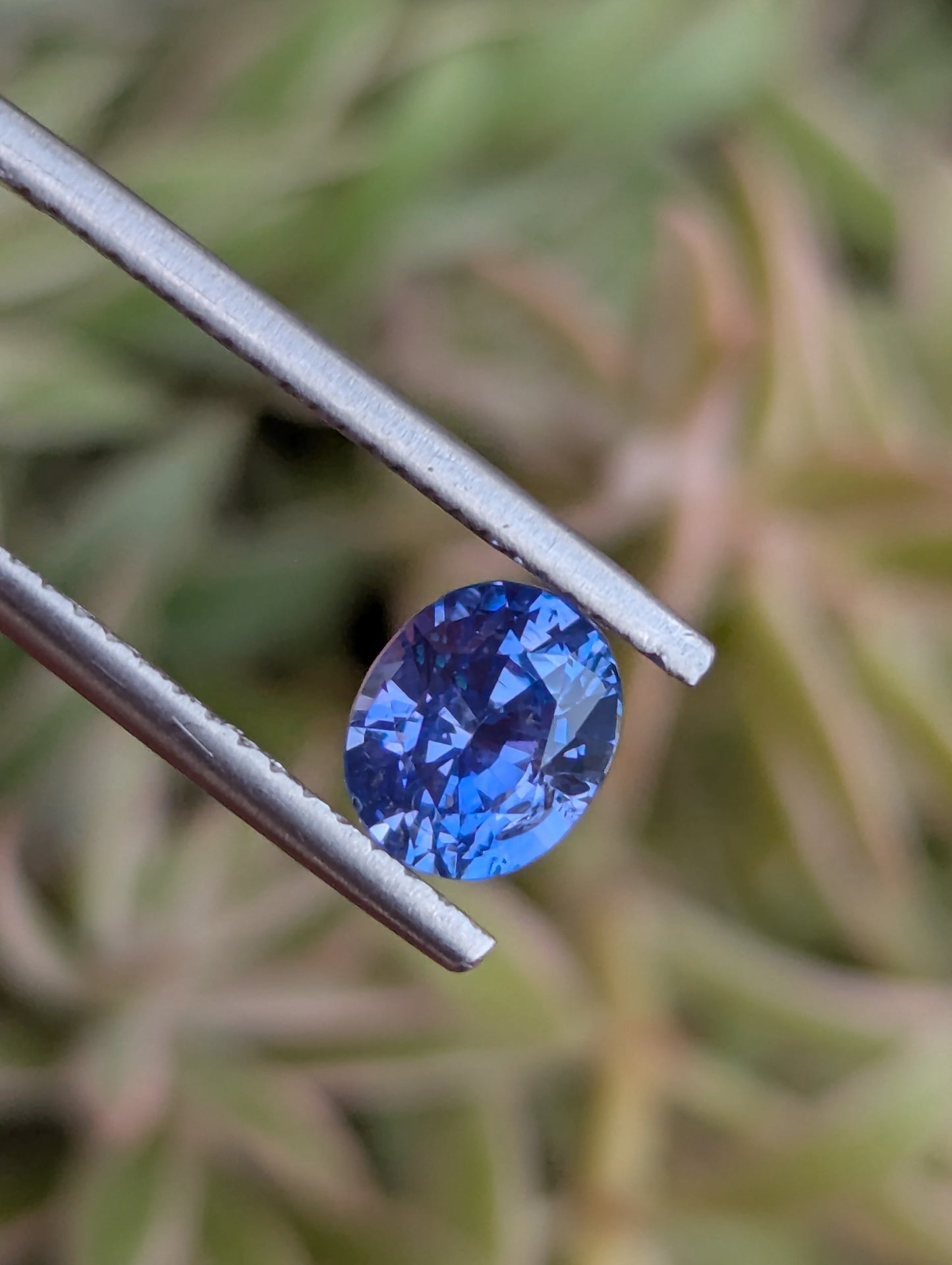 Natural Blue Sapphire 1.55ct – Pastel Blue Eye Clean Ceylon Sapphire