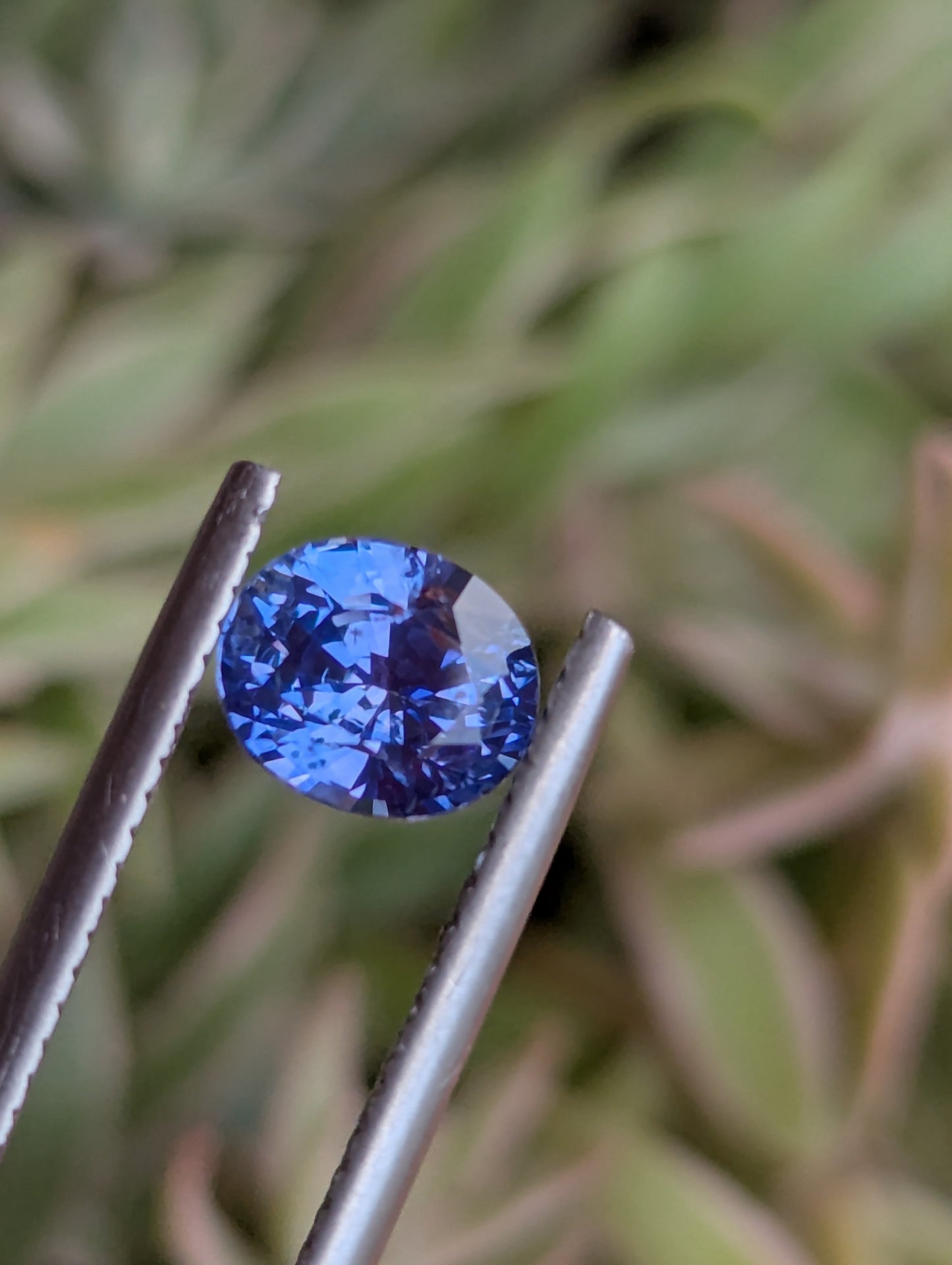 Natural Blue Sapphire 1.55ct – Pastel Blue Eye Clean Ceylon Sapphire