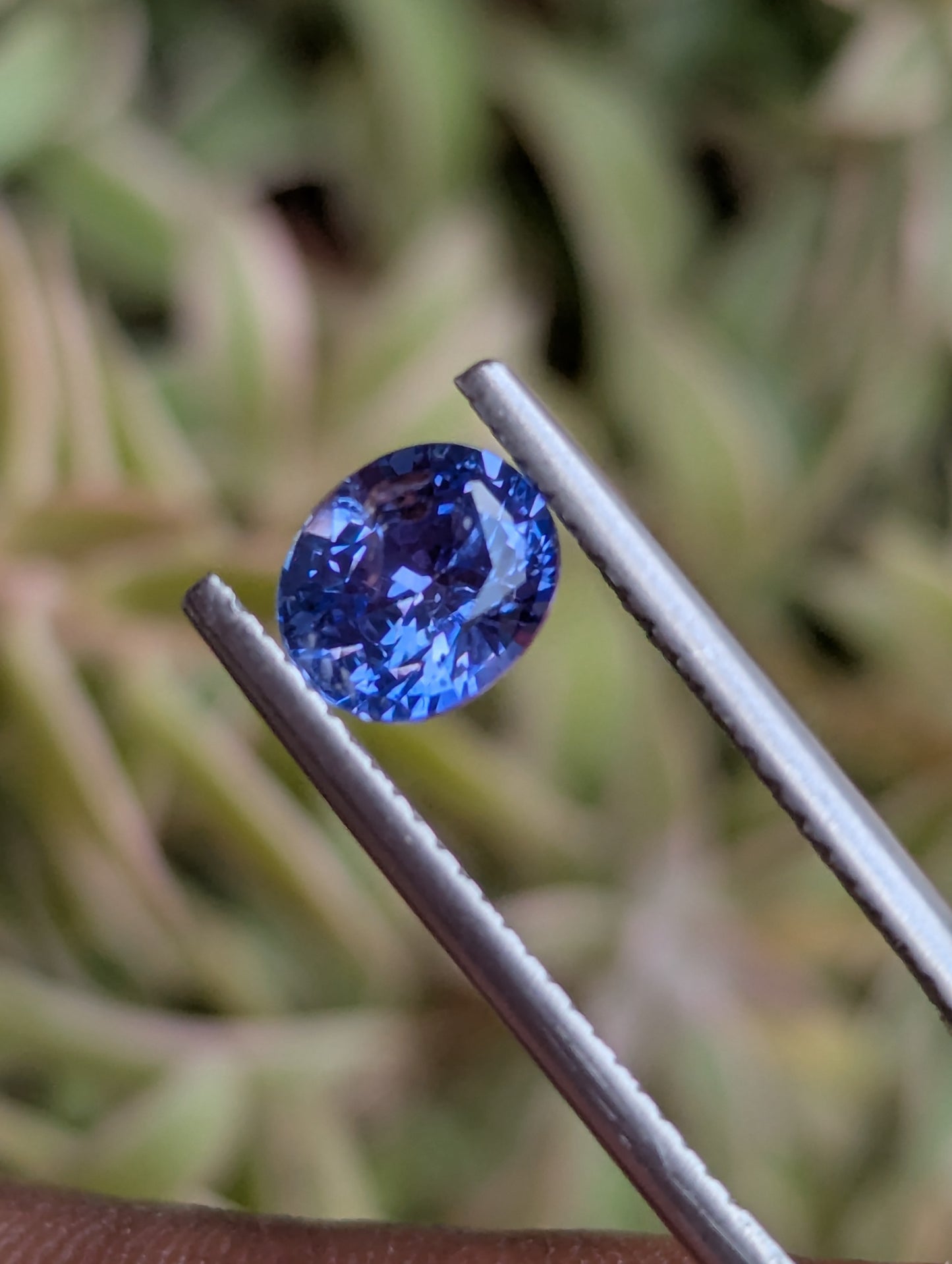 Natural Blue Sapphire 1.55ct – Pastel Blue Eye Clean Ceylon Sapphire
