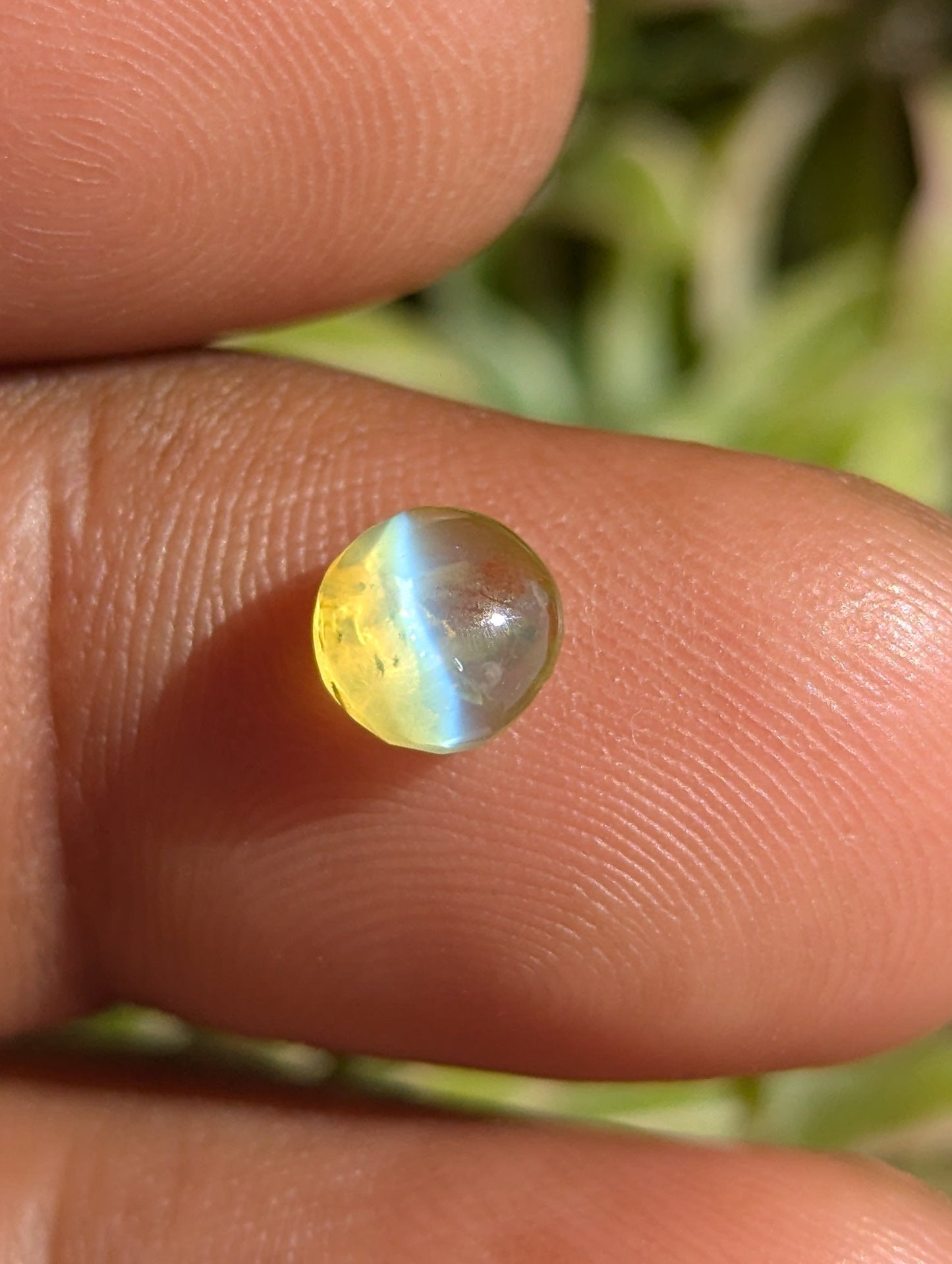 Natural Chrysoberyl Cat’s Eye 1.47ct Round 6mm – Clean Stone with Sharp Eye Effect