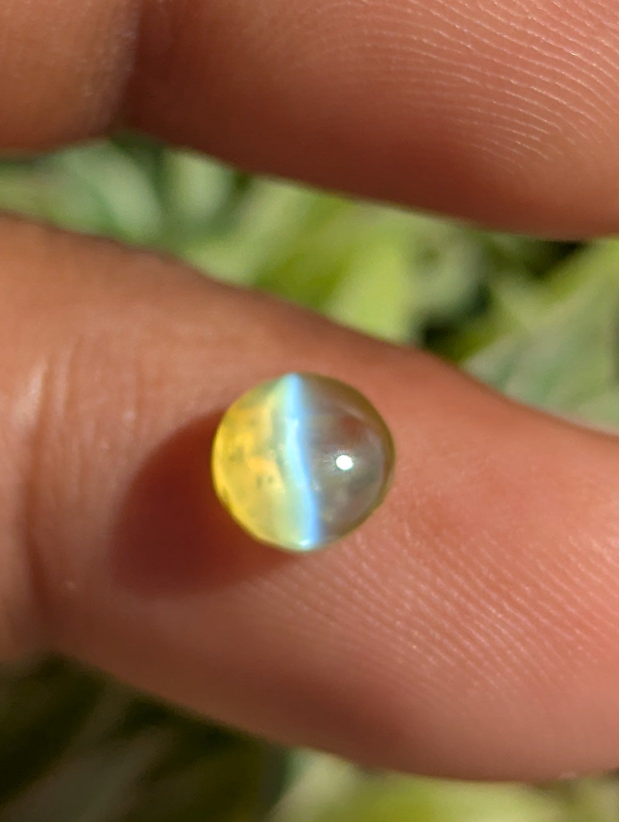 Natural Chrysoberyl Cat’s Eye 1.47ct Round 6mm – Clean Stone with Sharp Eye Effect