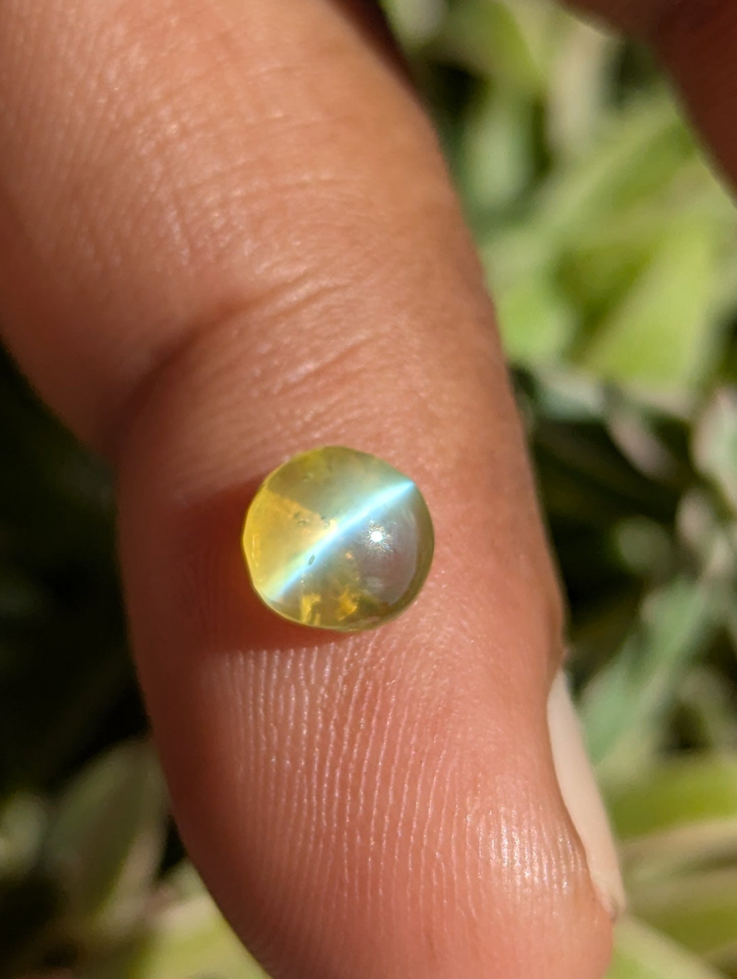 Natural Chrysoberyl Cat’s Eye 1.47ct Round 6mm – Clean Stone with Sharp Eye Effect