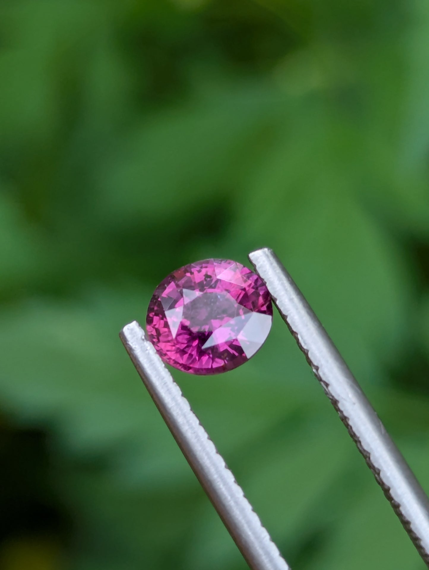Rare Unheated Hot Pink Sapphire 0.93ct – Natural Ceylon Gemstone