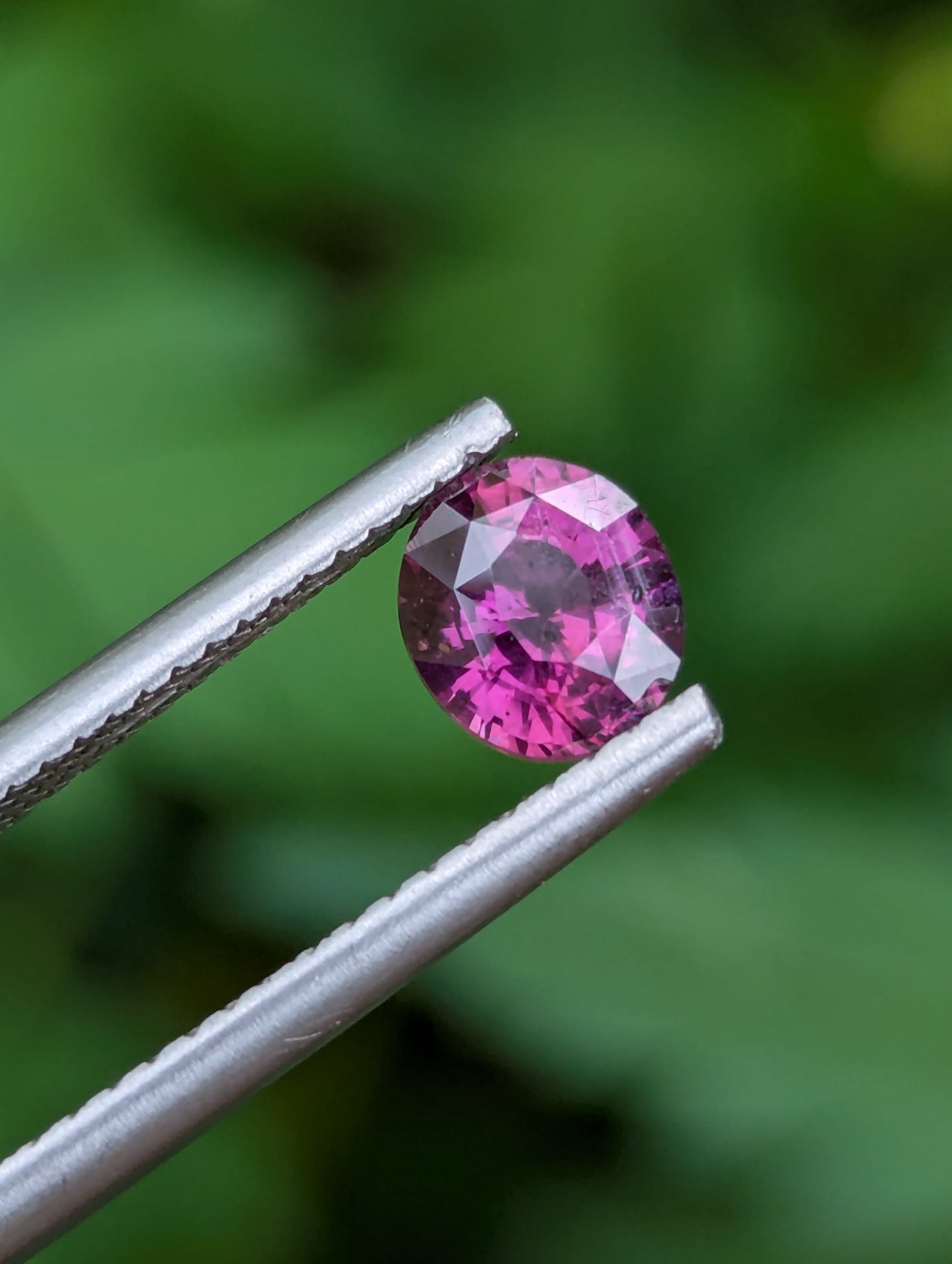 Rare Unheated Hot Pink Sapphire 0.93ct – Natural Ceylon Gemstone