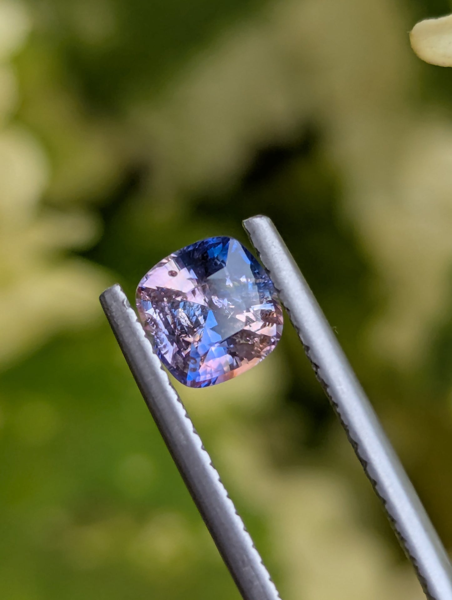 Natural Bicolour Sapphire 1.28 Ct Cushion Cut – Blue & Sunset Tone