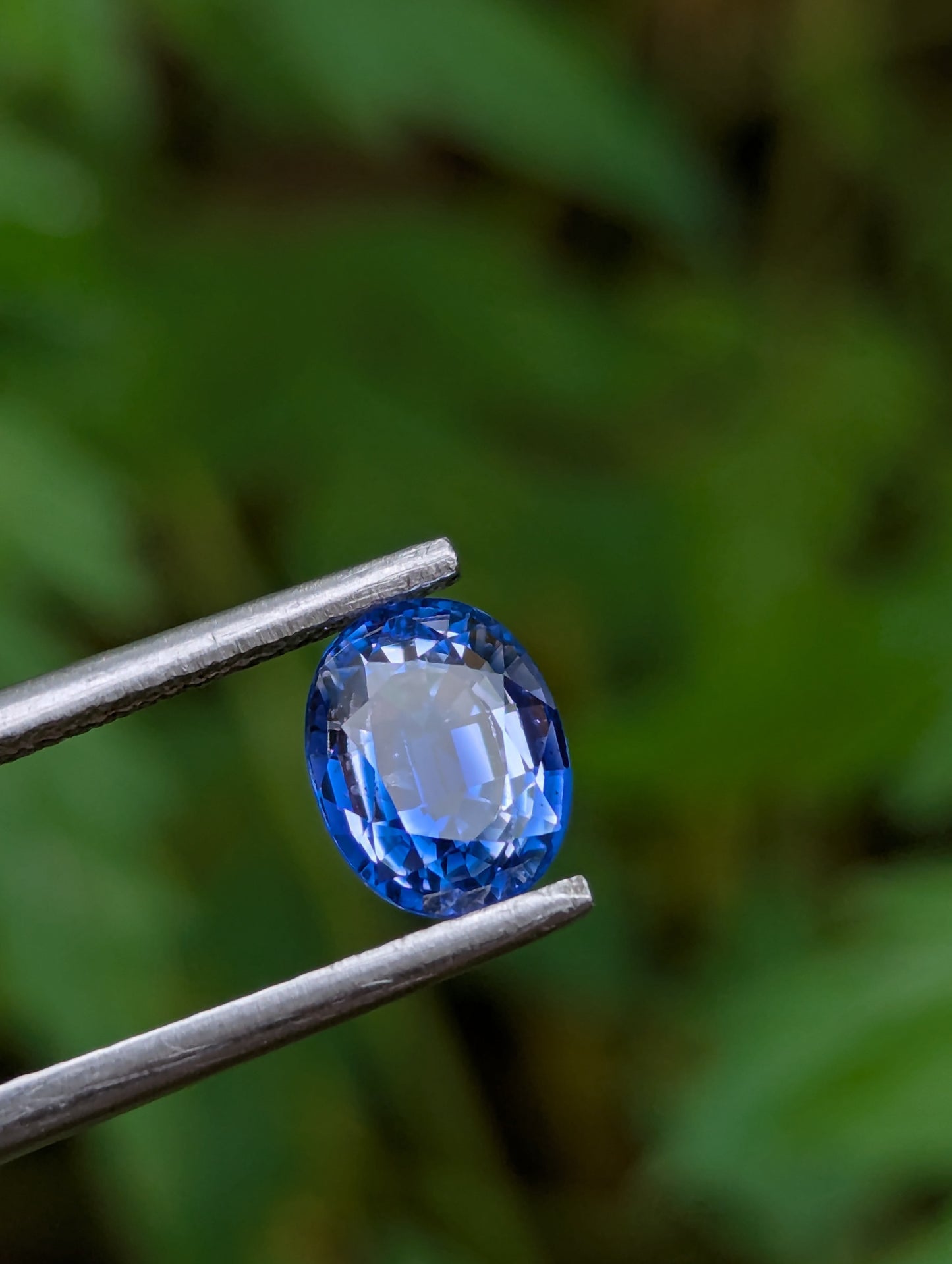 Natural Blue Sapphire – 1.85 Ct | Ceylon Origin | $360