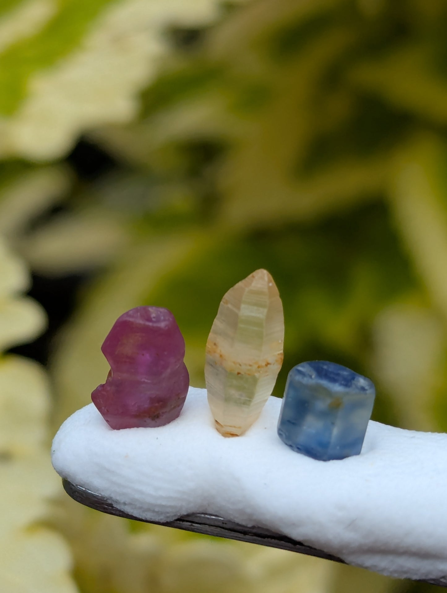 Natural Unheated Sapphire Crystal Trio 5.91 Ct | Blue Pink Yellow Ceylon Sapphire Crystals | Untreated Raw Gemstones | Collector Specimens