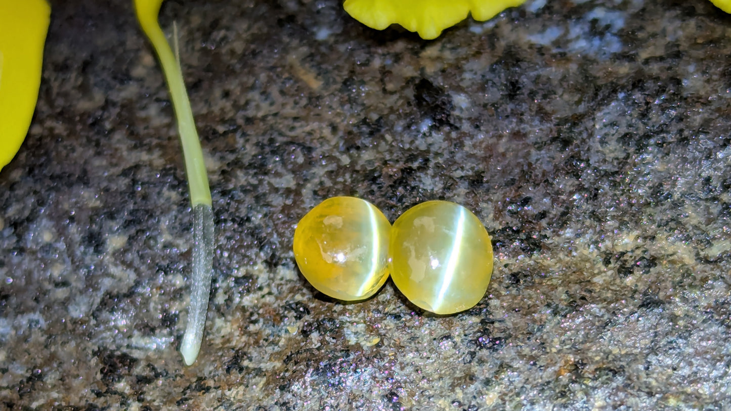Natural Chrysoberyl Cat's Eye Pair – 1.80 Ct Total Weight | Unheated & Untreated | Sri Lanka
