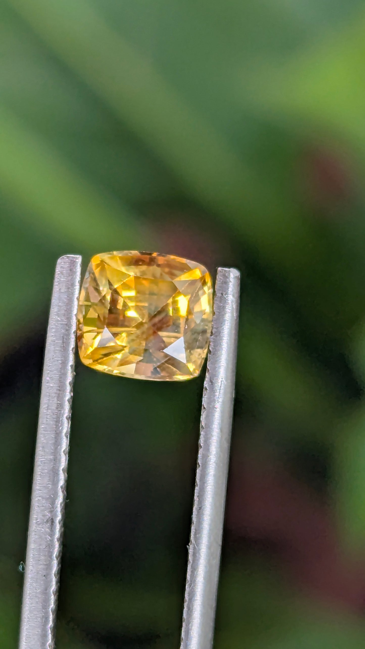 Natural Canary Yellow Sapphire 1.55 Ct | Cushion Cut | Sri Lanka