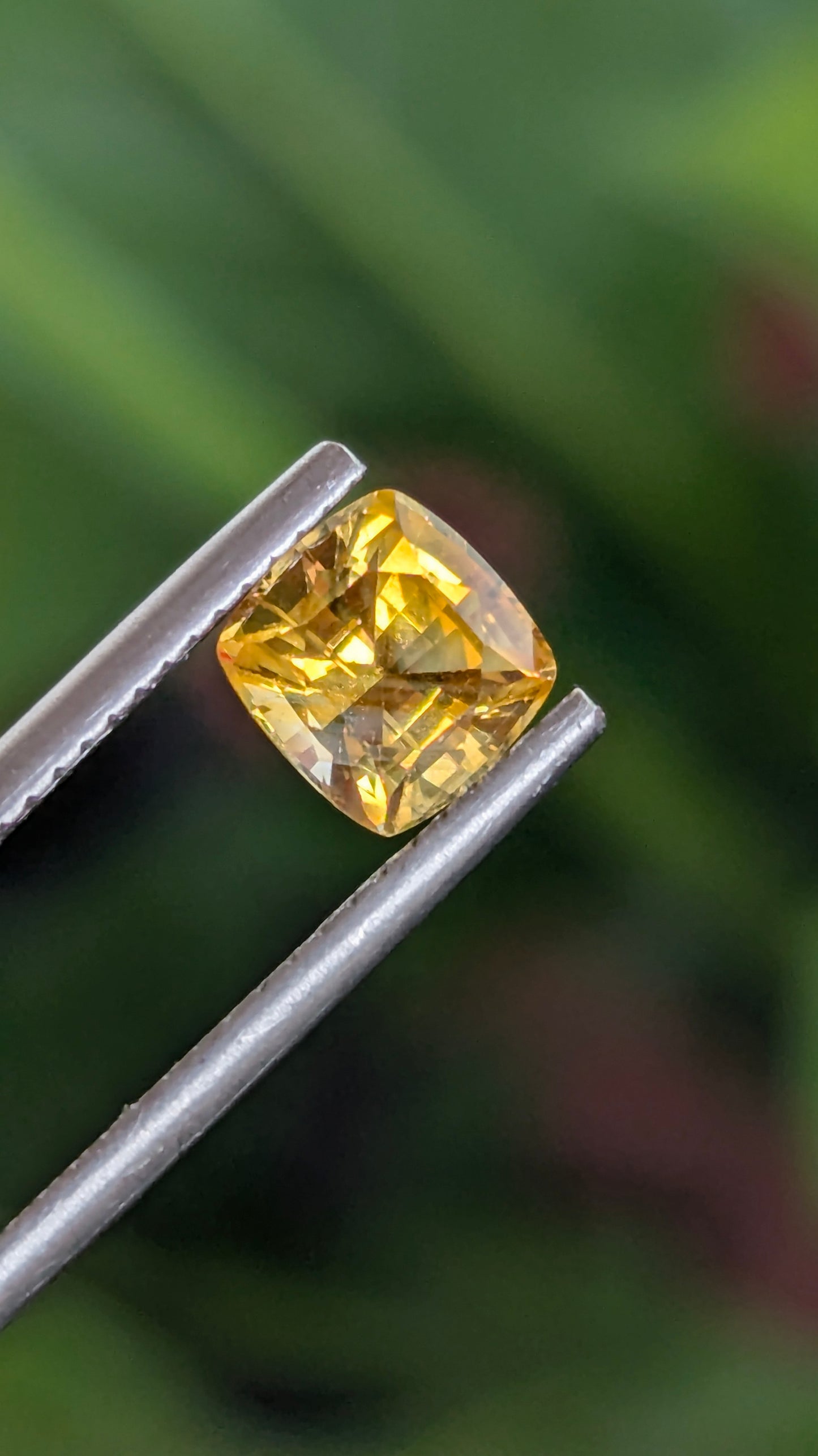Natural Canary Yellow Sapphire 1.55 Ct | Cushion Cut | Sri Lanka