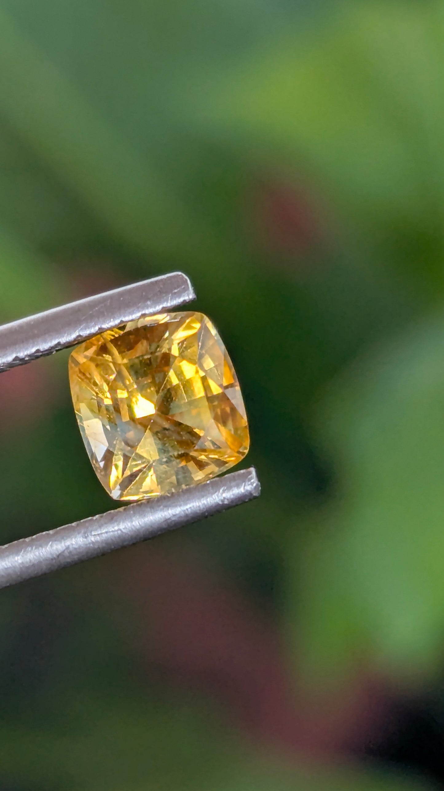 Natural Canary Yellow Sapphire 1.55 Ct | Cushion Cut | Sri Lanka