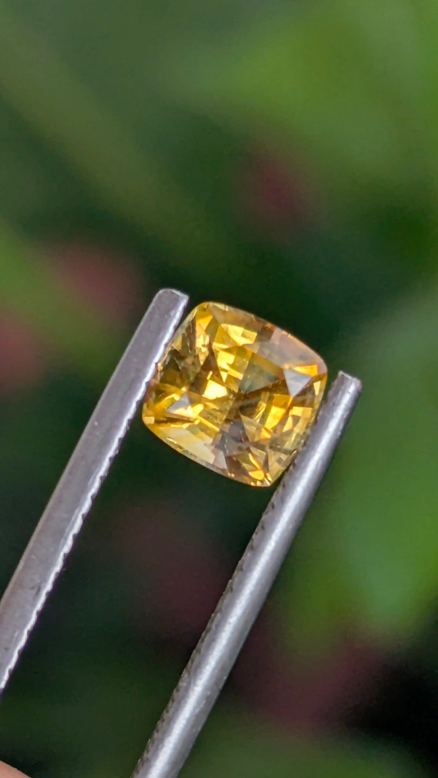 Natural Canary Yellow Sapphire 1.55 Ct | Cushion Cut | Sri Lanka