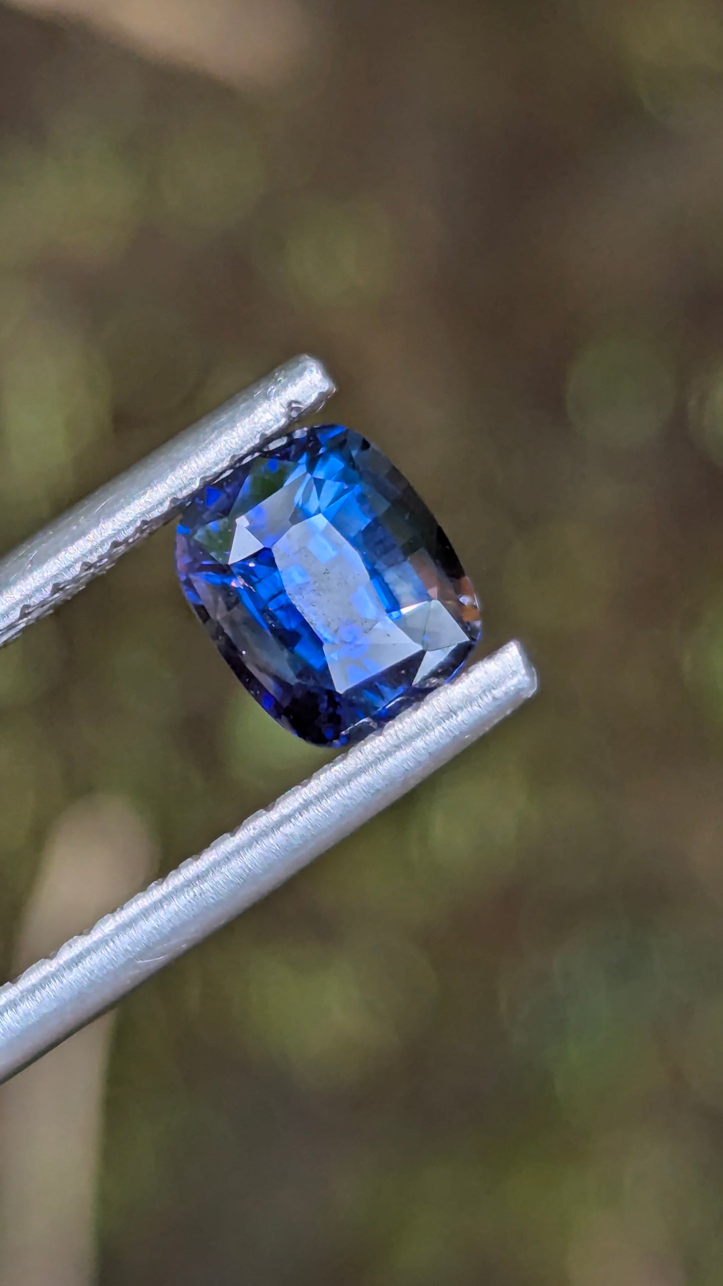 Natural Ceylon Cornflower Blue Sapphire – 1.32 Ct Cushion Cut | Heated | VS Clarity