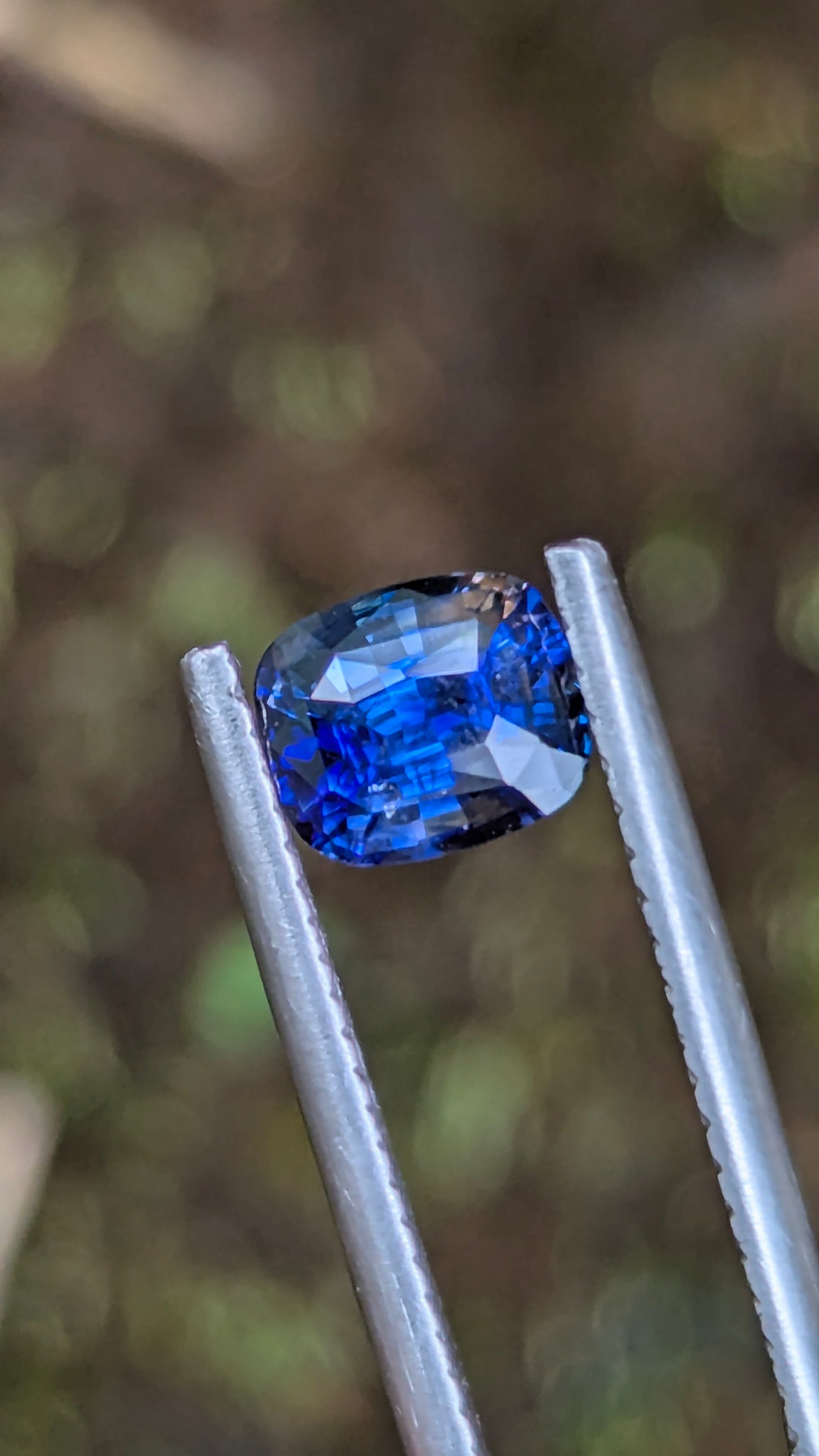Natural Ceylon Cornflower Blue Sapphire – 1.32 Ct Cushion Cut | Heated | VS Clarity