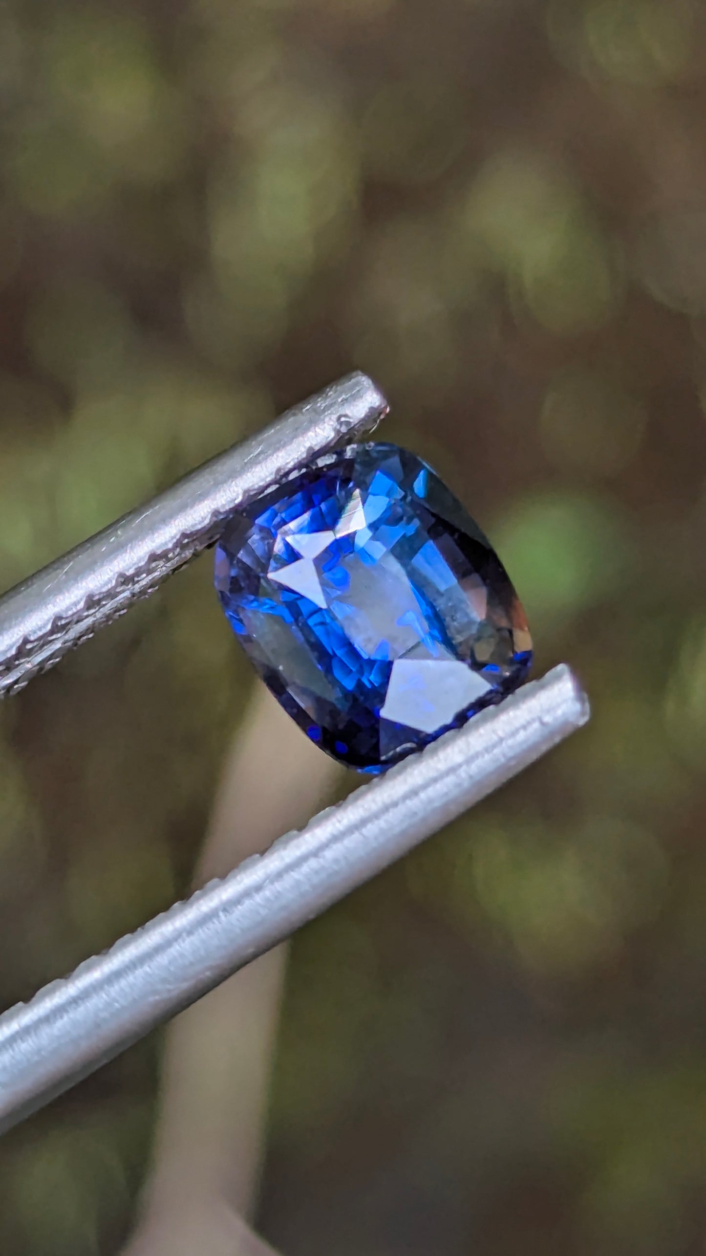 Natural Ceylon Cornflower Blue Sapphire – 1.32 Ct Cushion Cut | Heated | VS Clarity