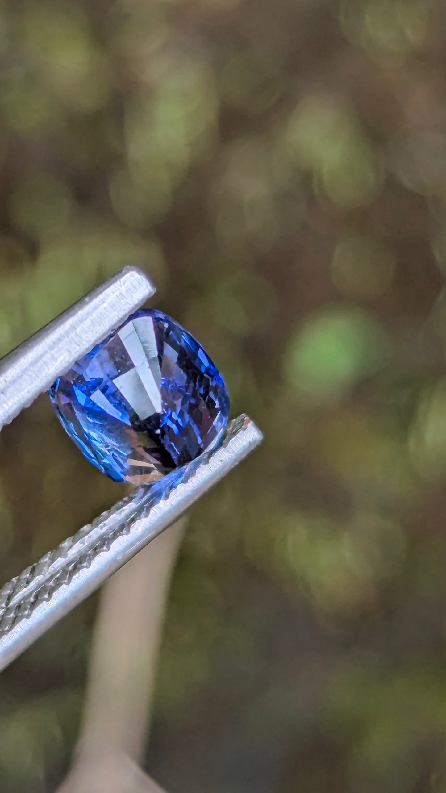 Natural Ceylon Cornflower Blue Sapphire – 1.32 Ct Cushion Cut | Heated | VS Clarity