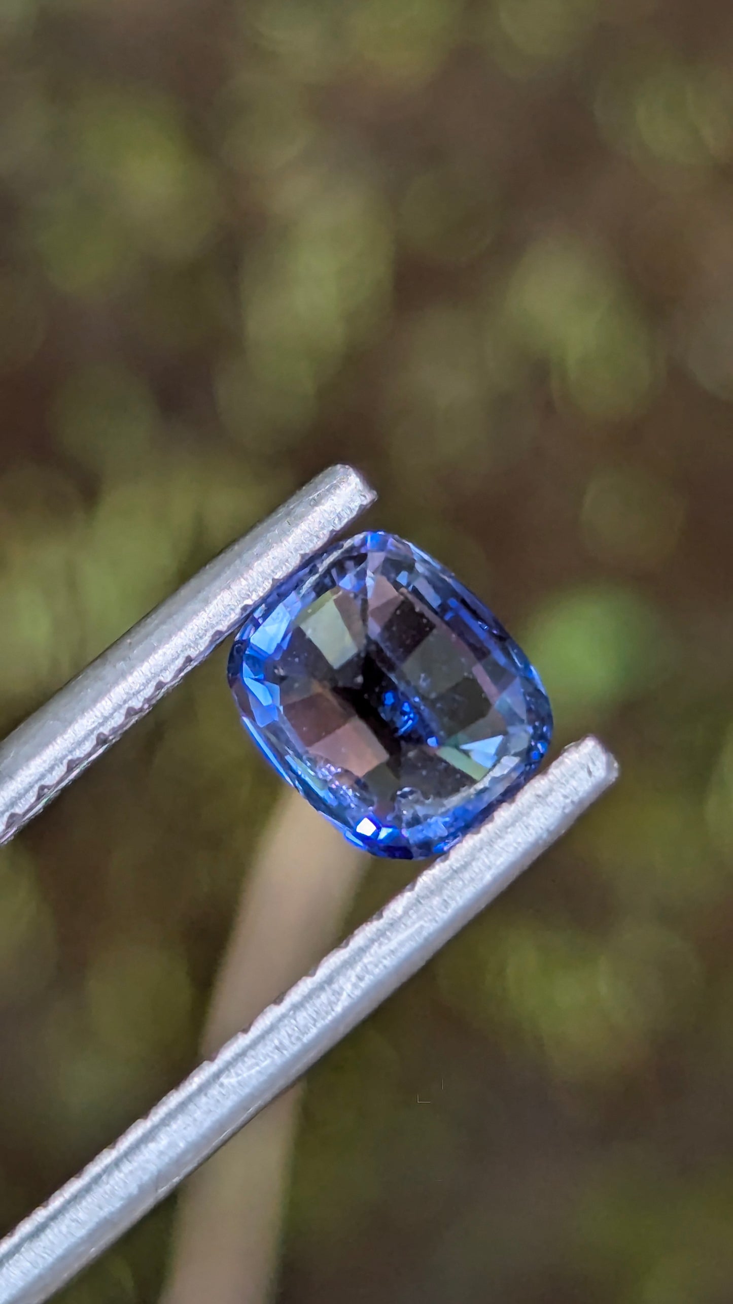 Natural Ceylon Cornflower Blue Sapphire – 1.32 Ct Cushion Cut | Heated | VS Clarity