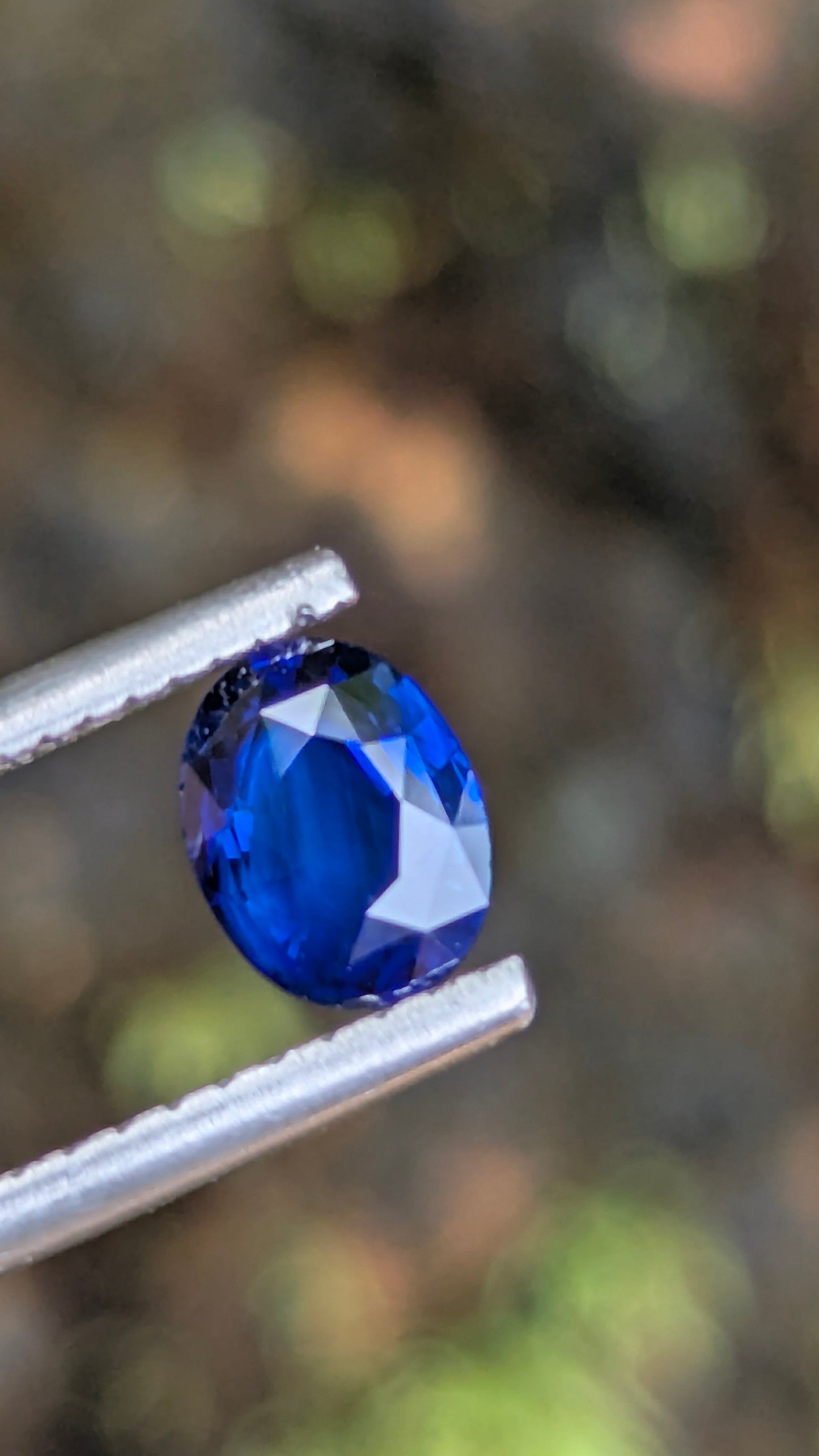 Natural Royal Blue Sapphire 0.76 Ct Oval – Heated Ceylon Sapphire | Eye Clean | 6.4 × 4.9 mm