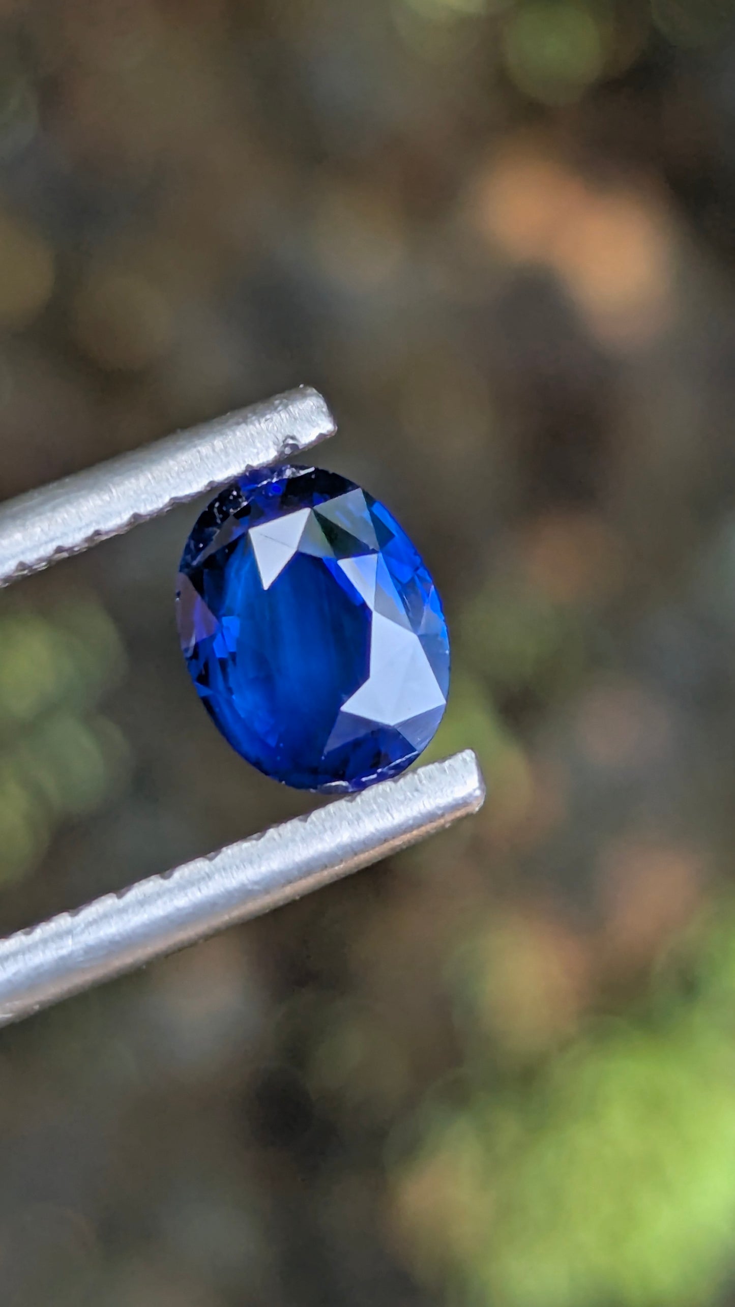 Natural Royal Blue Sapphire 0.76 Ct Oval – Heated Ceylon Sapphire | Eye Clean | 6.4 × 4.9 mm