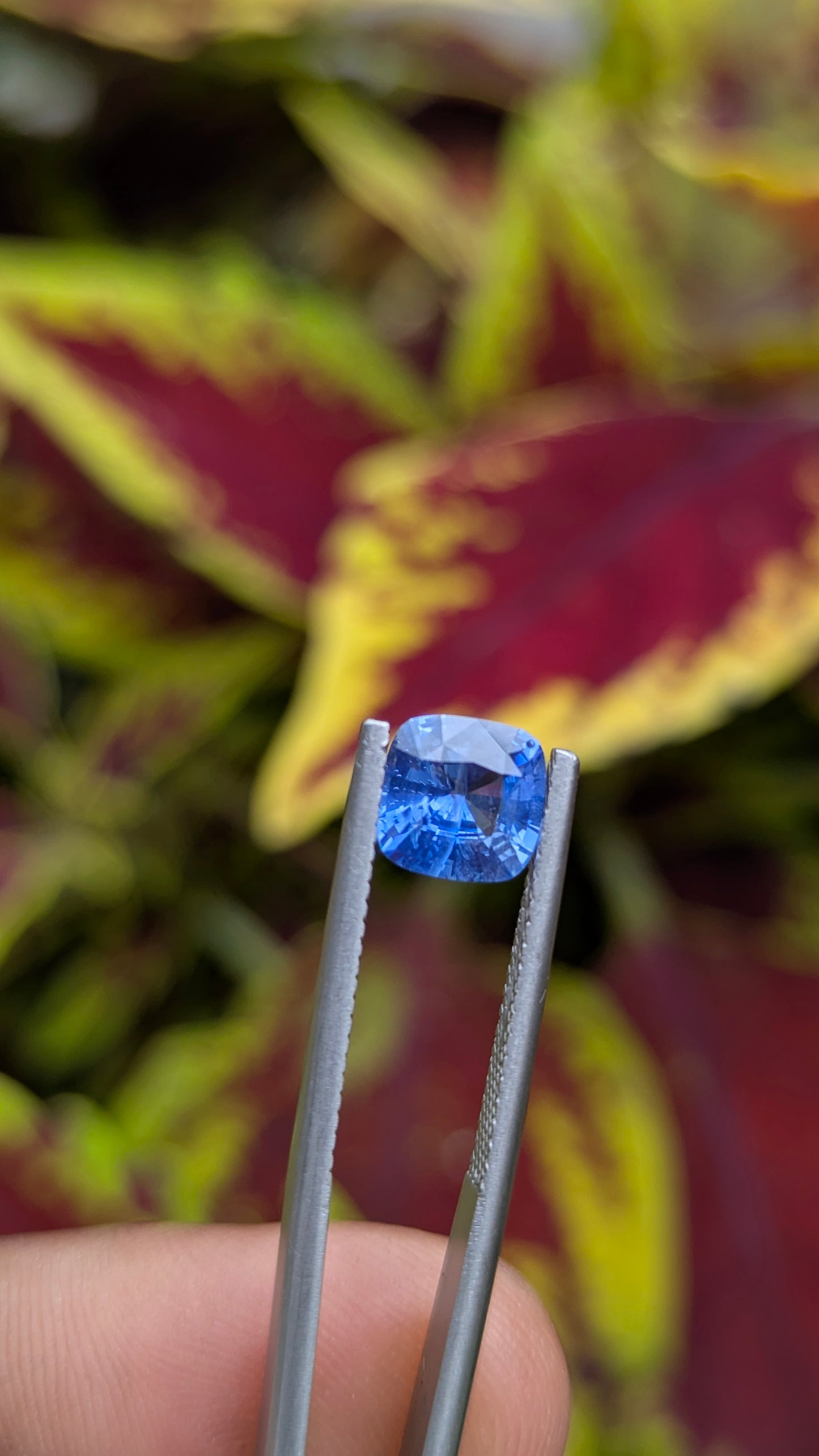 Natural Unheated Blue Sapphire 1.56 Ct | Cushion Cut | Ceylon Sapphire