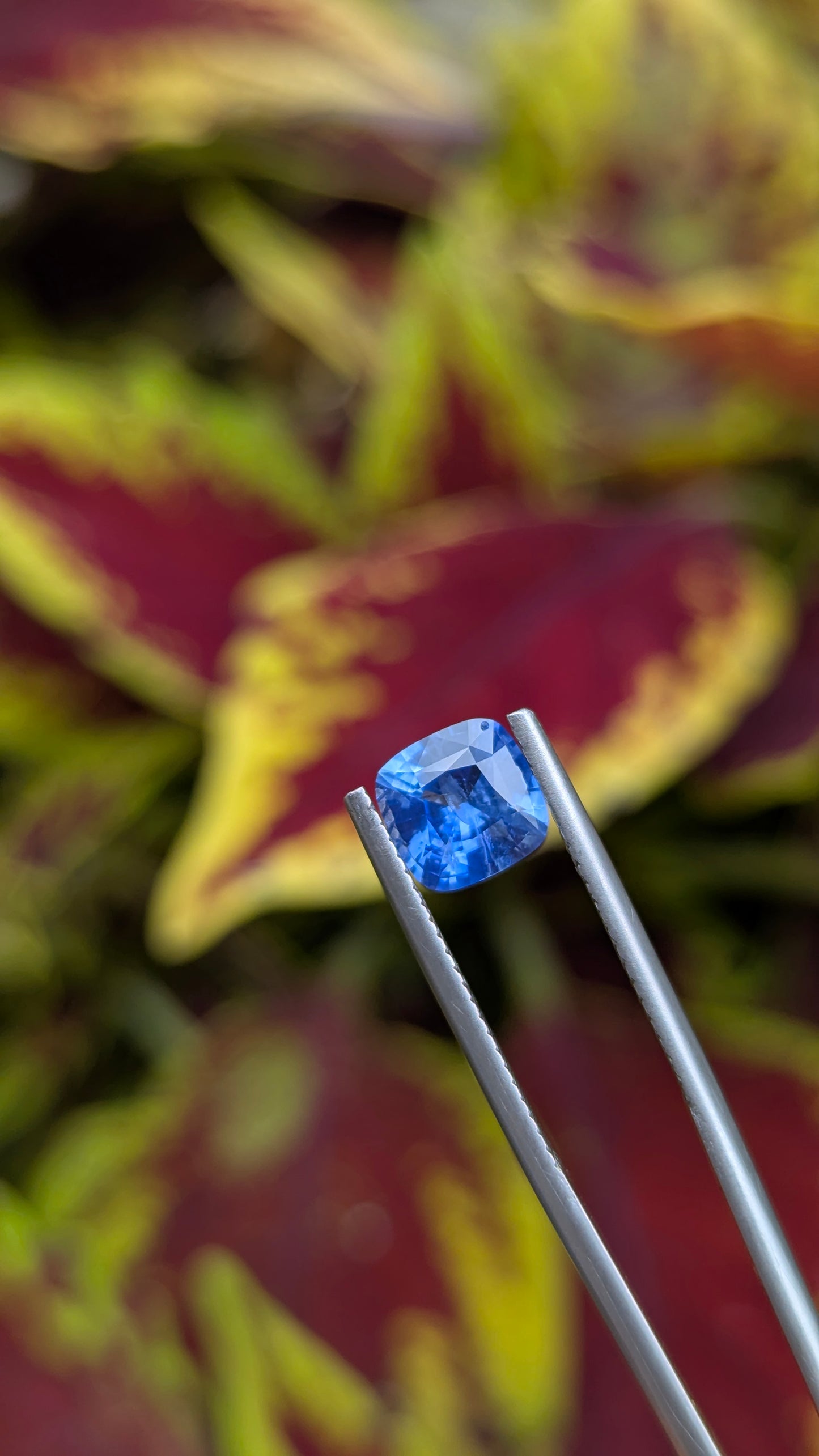 Natural Unheated Blue Sapphire 1.56 Ct | Cushion Cut | Ceylon Sapphire