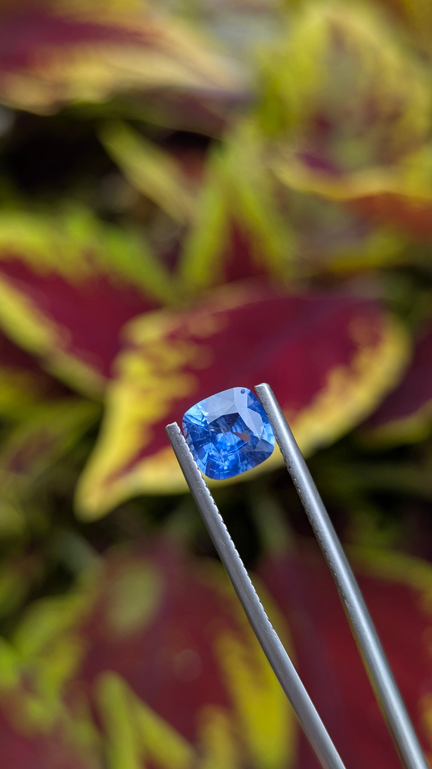 Natural Unheated Blue Sapphire 1.56 Ct | Cushion Cut | Ceylon Sapphire