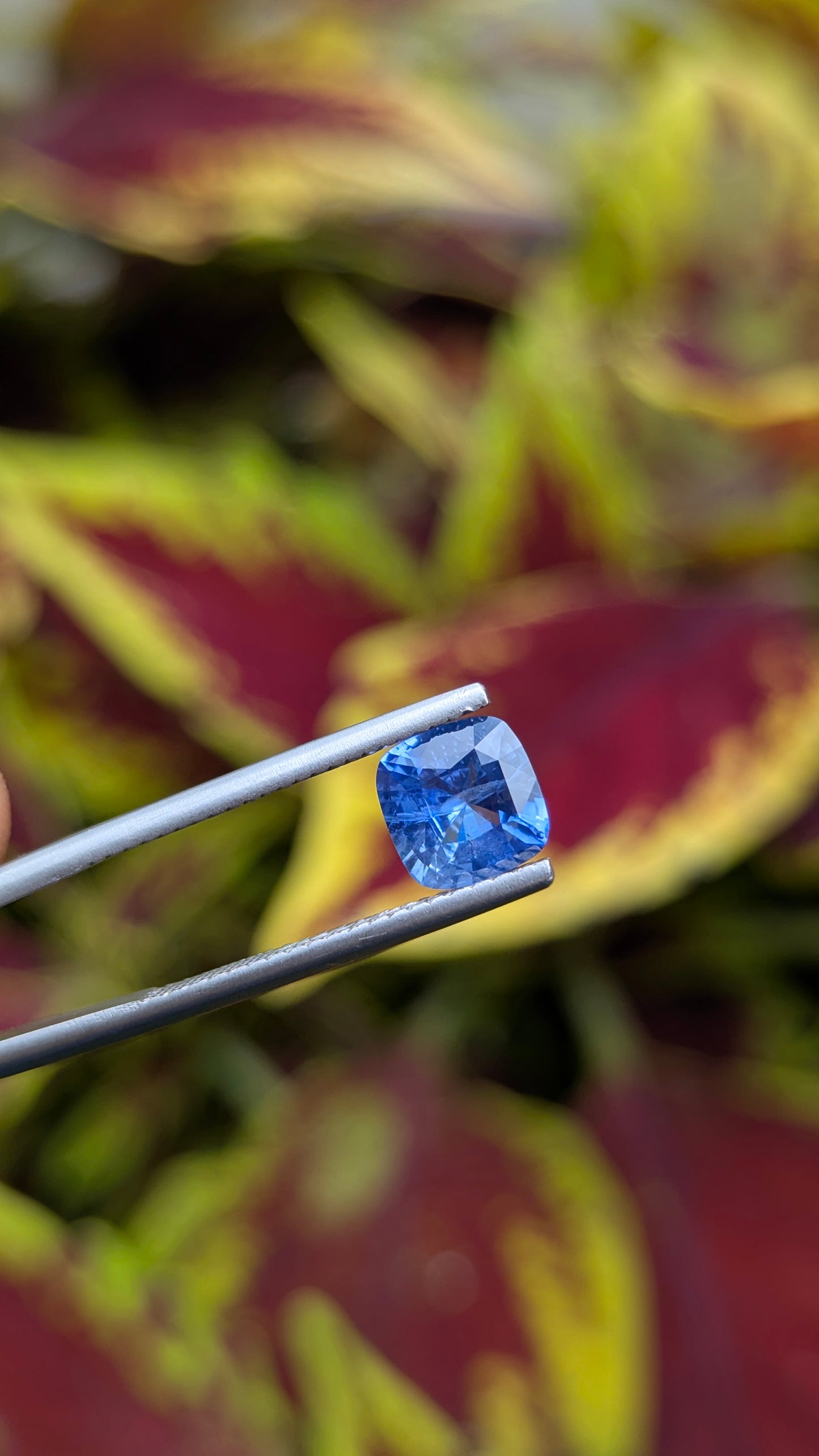 Natural Unheated Blue Sapphire 1.56 Ct | Cushion Cut | Ceylon Sapphire