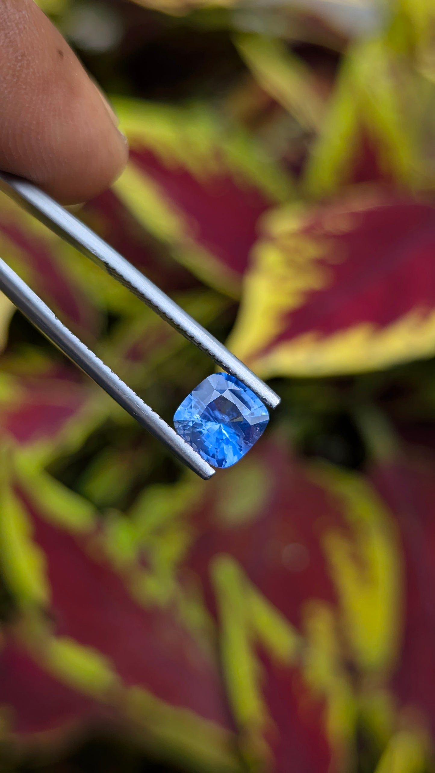 Natural Unheated Blue Sapphire 1.56 Ct | Cushion Cut | Ceylon Sapphire