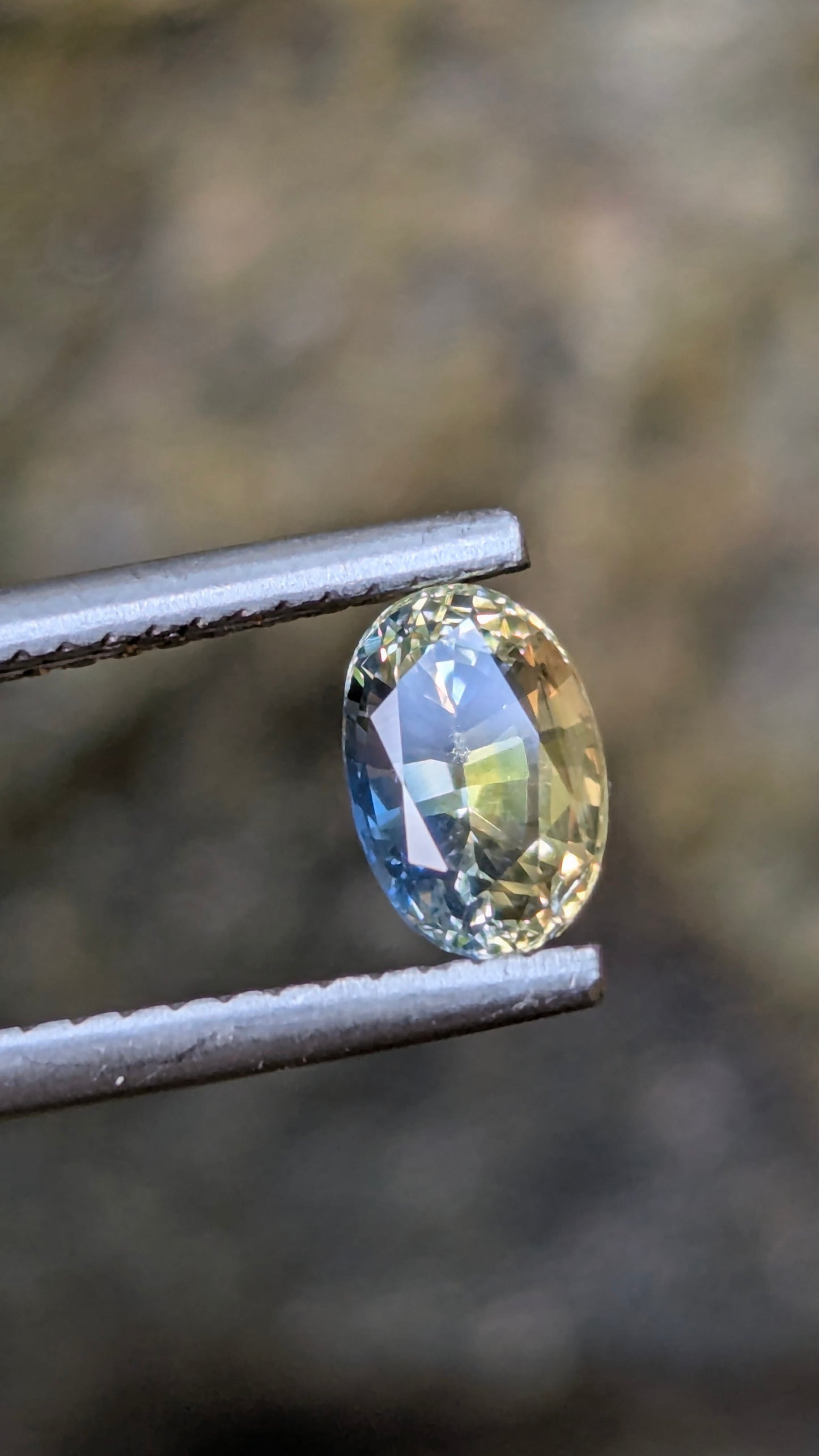 Natural Bi-Colour Sapphire – 1.10 ct Unheated Ceylon Oval Gemstone