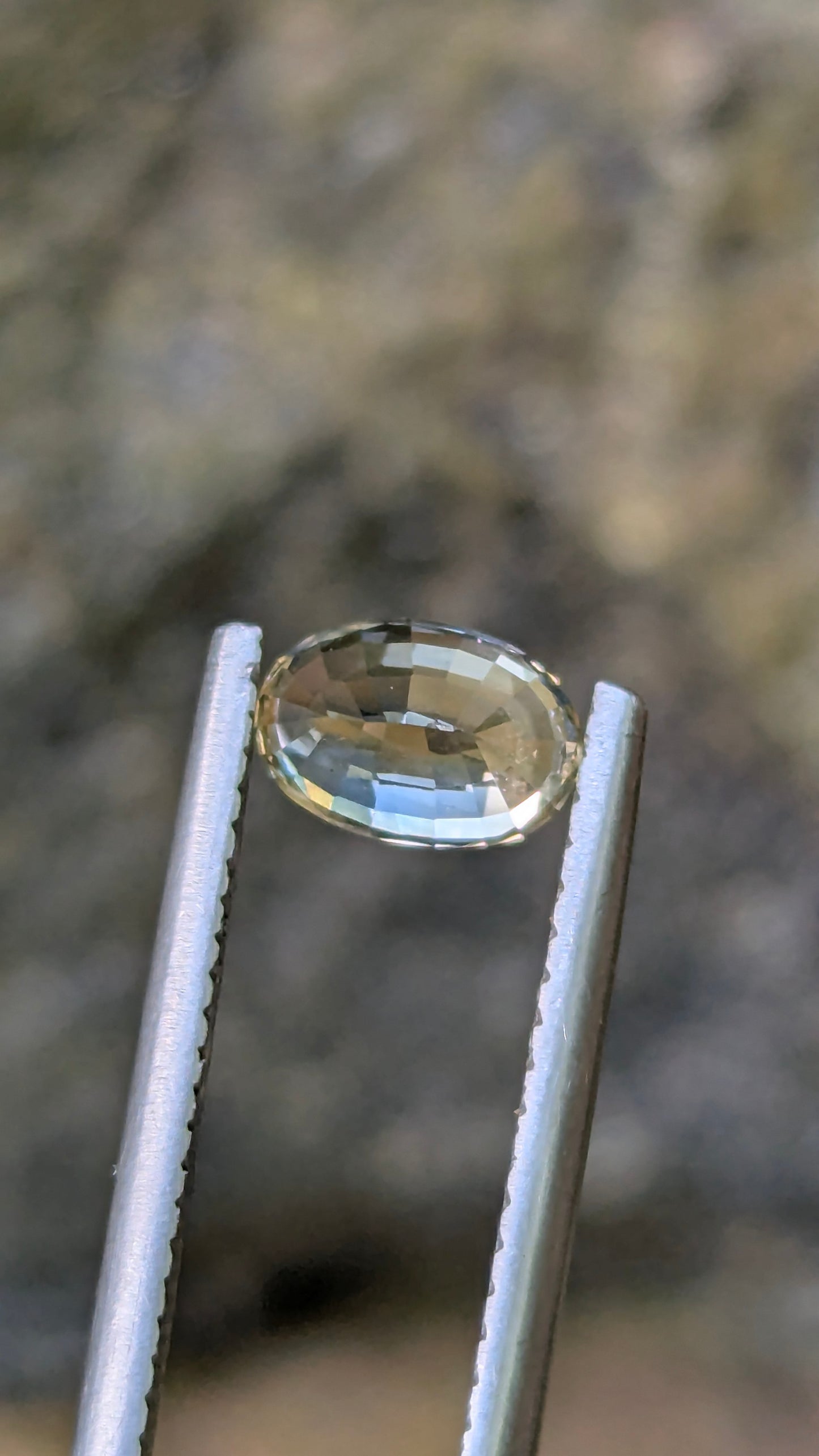Natural Bi-Colour Sapphire – 1.10 ct Unheated Ceylon Oval Gemstone