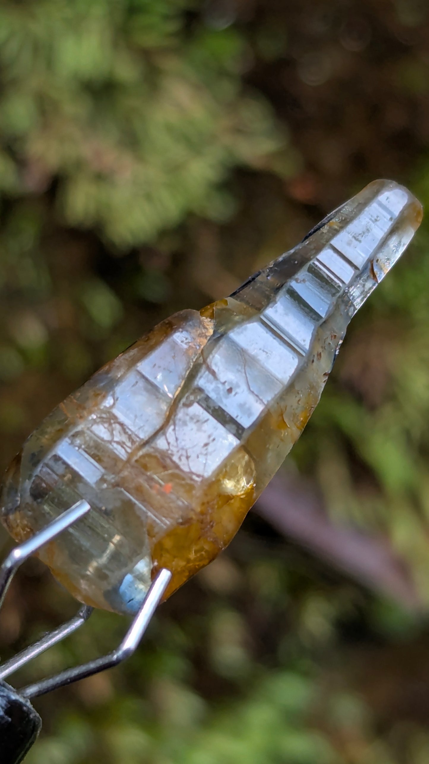 Natural Bi-Colour Sapphire Crystal – 7.00 ct Rare Skeletal Crystal | Unheated Ceylon Sapphire