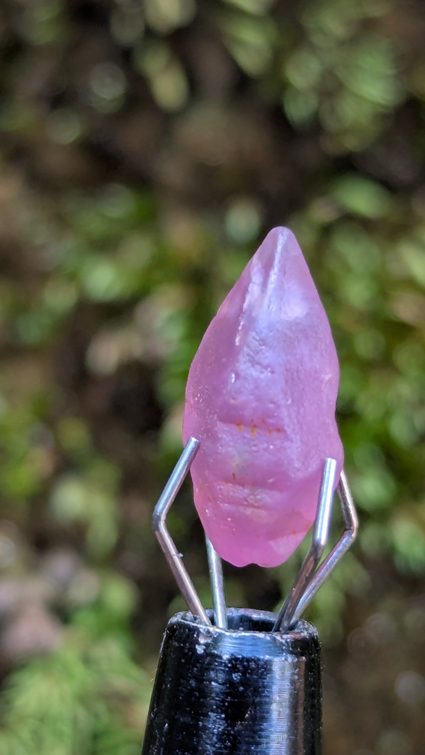 Natural Pink Sapphire Crystal – 3.95 ct