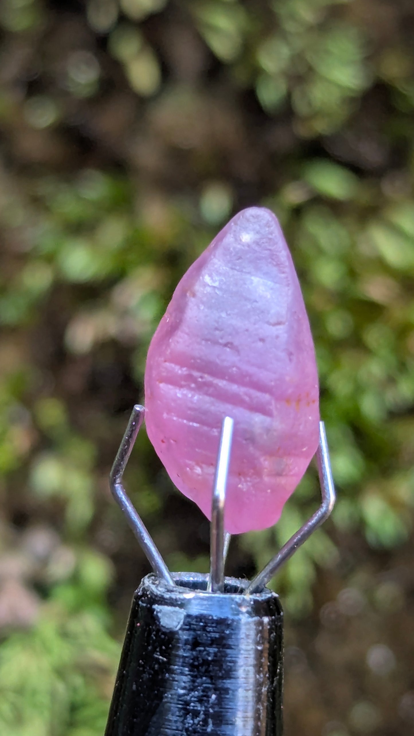 Natural Pink Sapphire Crystal – 3.95 ct