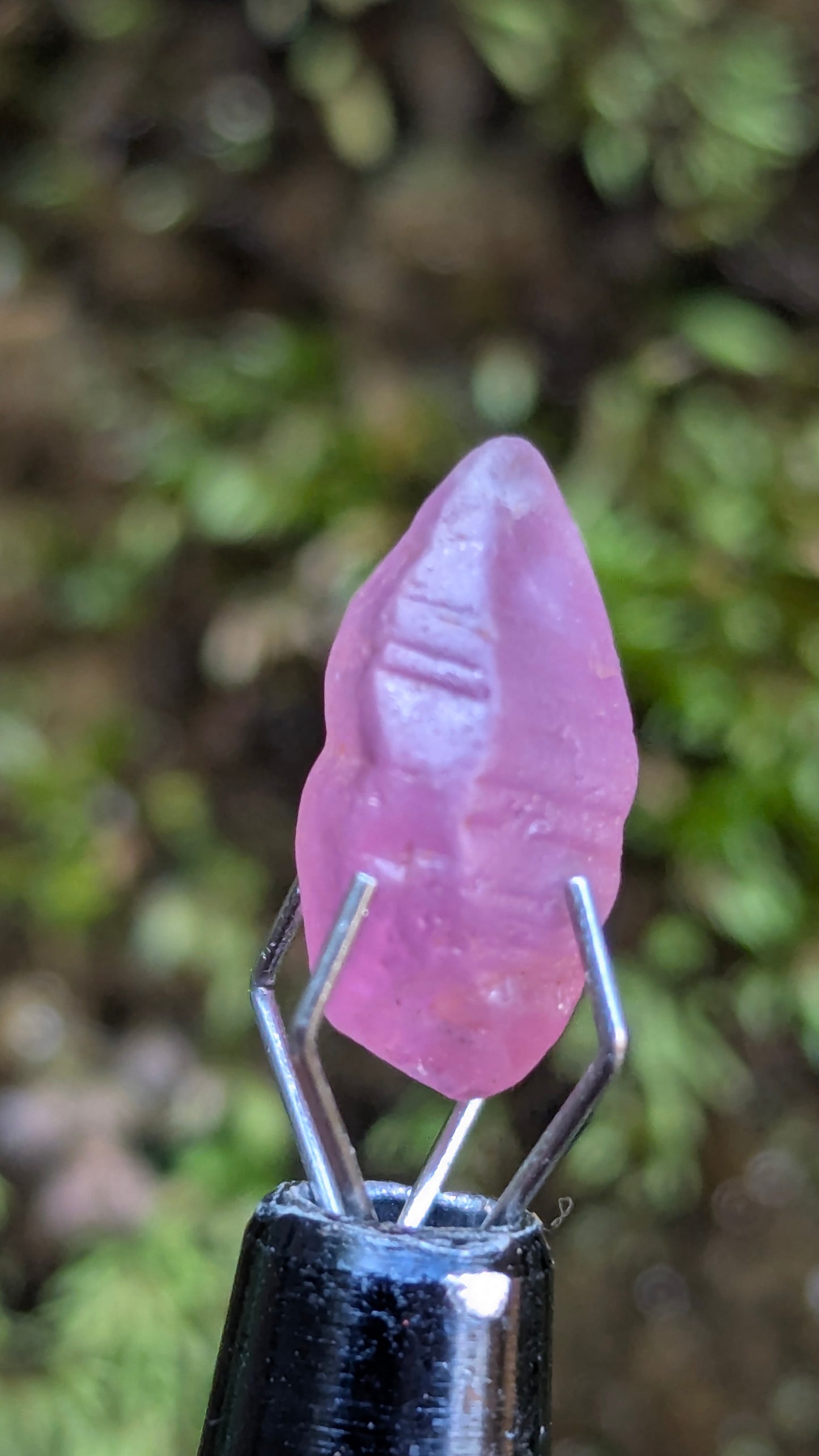 Natural Pink Sapphire Crystal – 3.95 ct