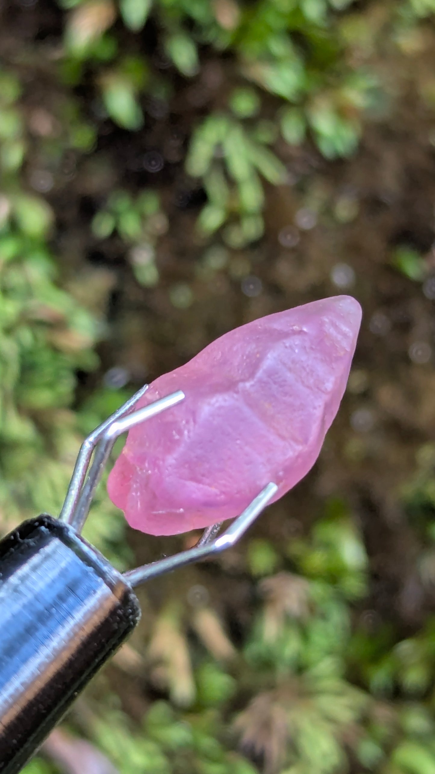 Natural Pink Sapphire Crystal – 3.95 ct