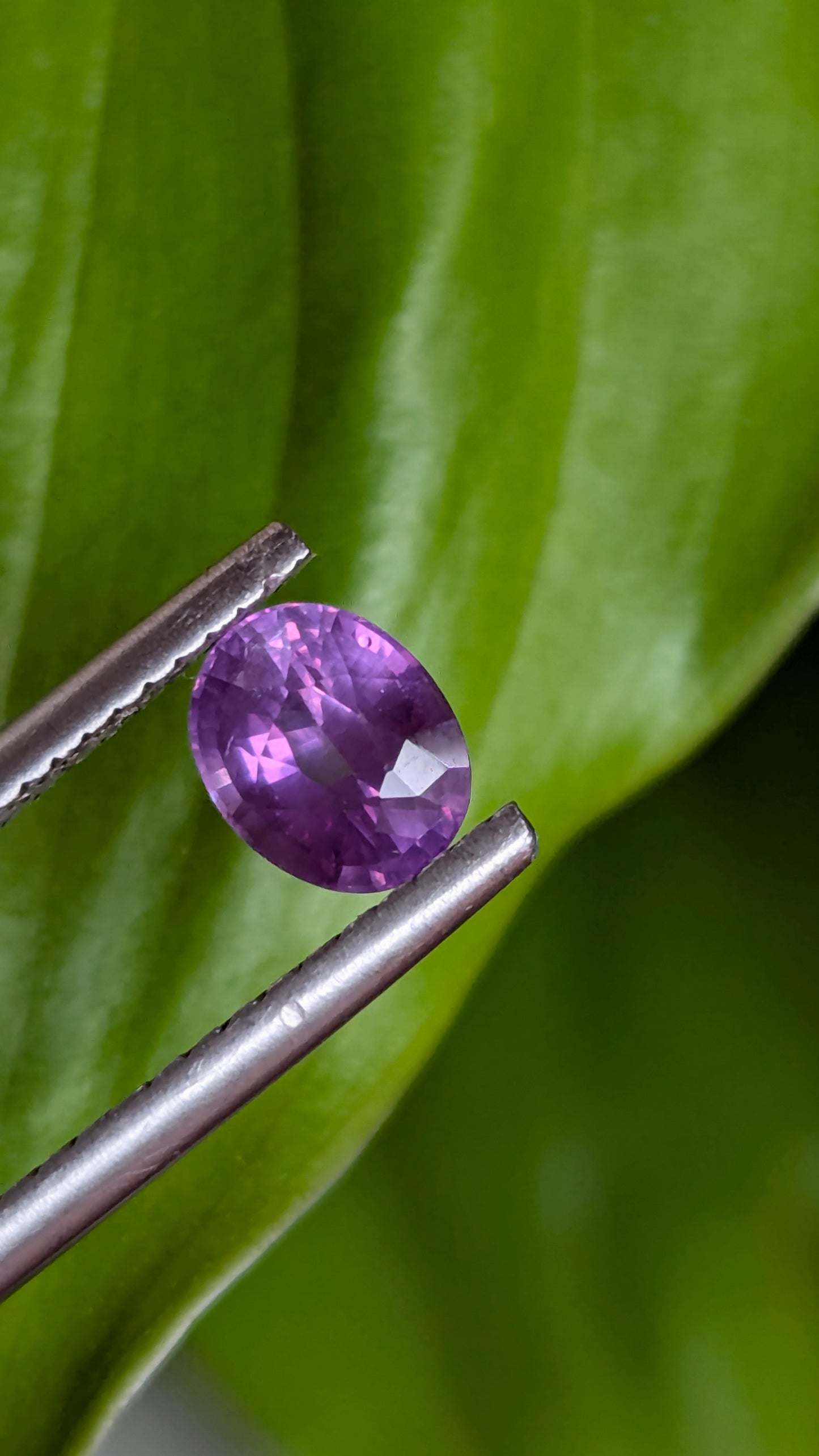 Natural Purple Sapphire 0.90 Ct | Unheated Ceylon Sapphire | GRC-SAP-092