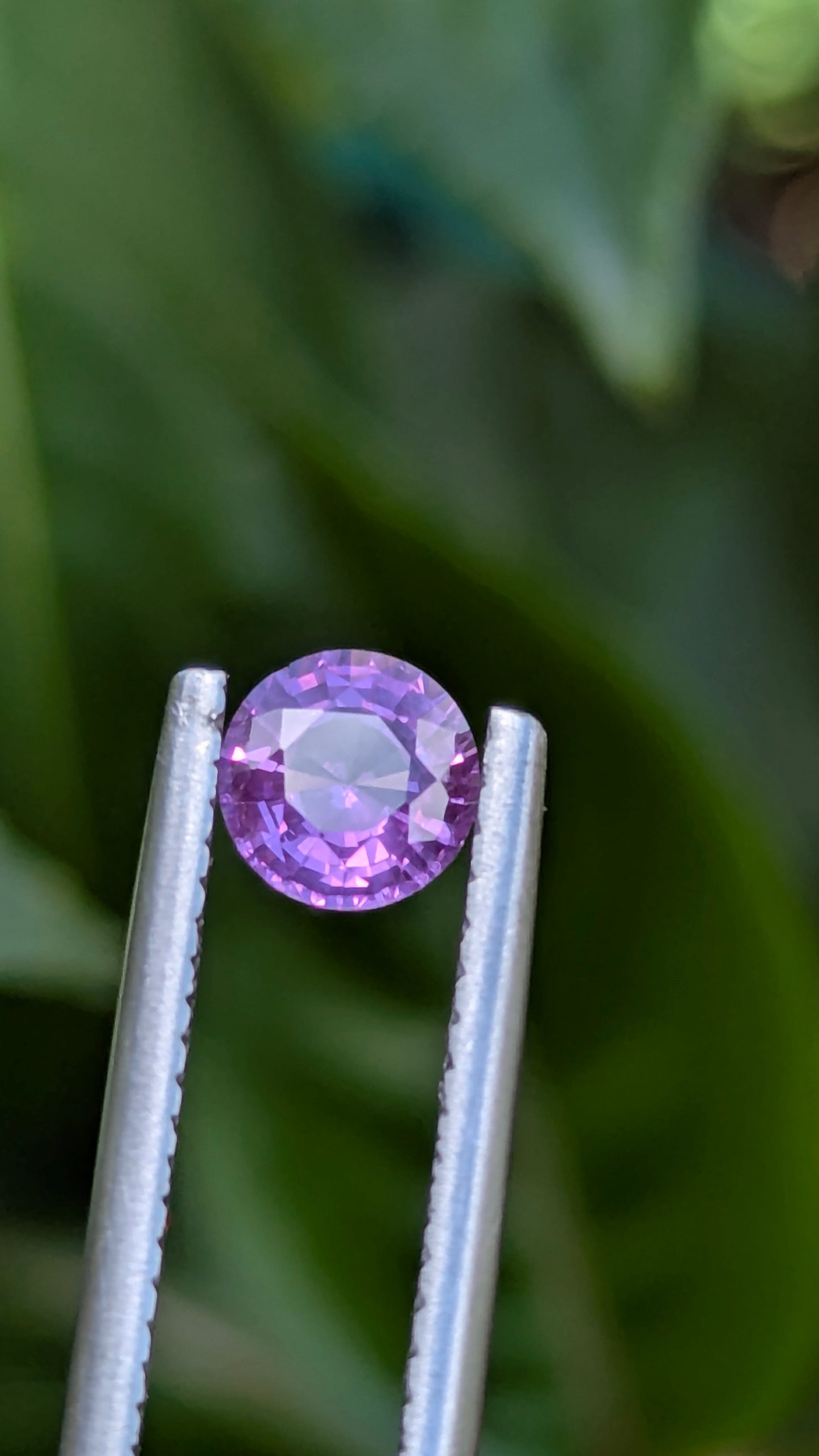 Natural Pink Sapphire 0.62 Ct | Unheated Ceylon Sapphire